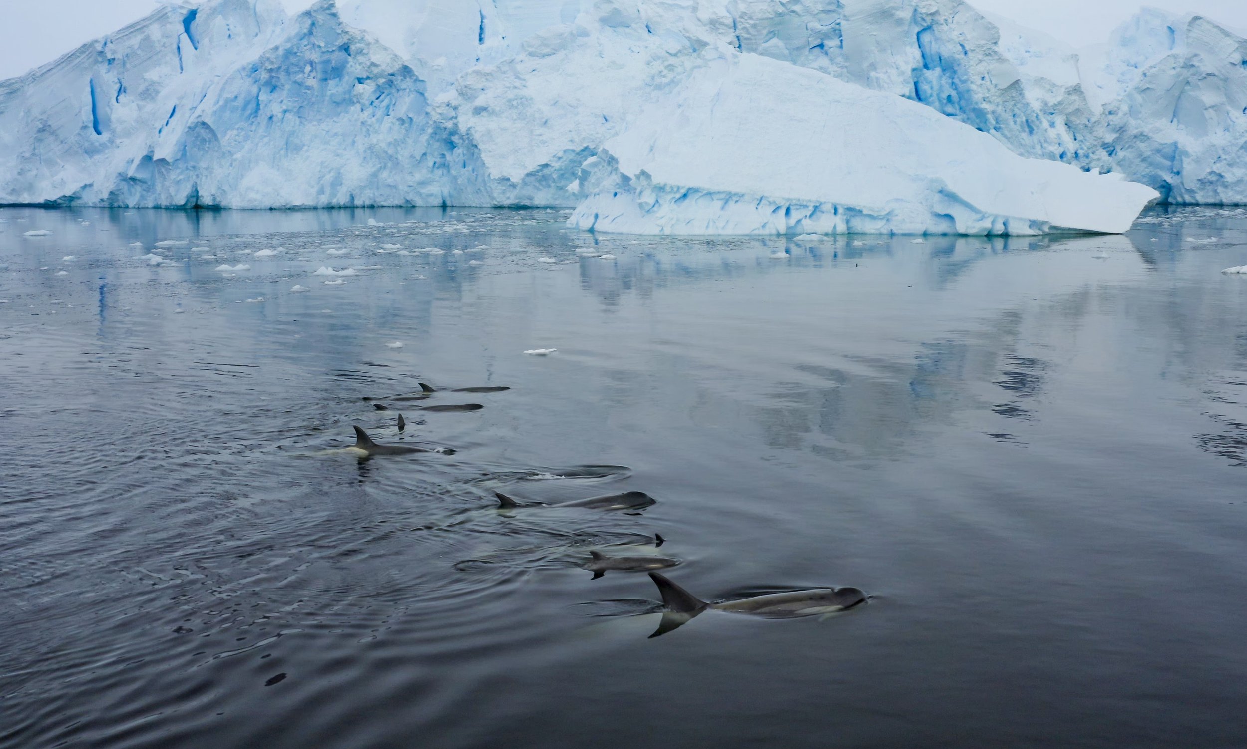 AntarcticKillerWaves_201_EpicAdventuresOfBertieGregory_32.jpg