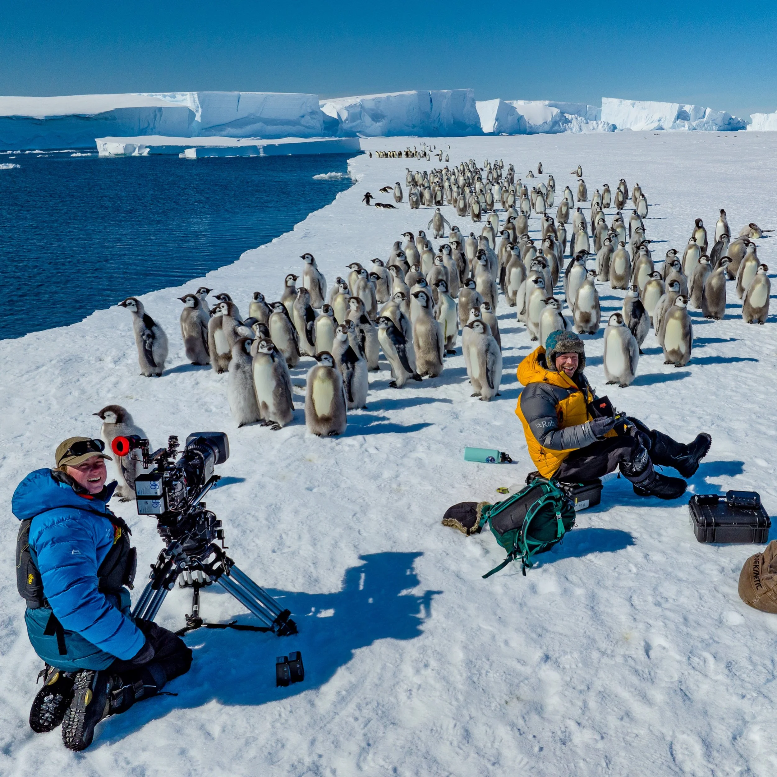 One of the most rewarding parts of Secrets of the Penguins was getting to work with two inspiring and upcoming camerawomen @saraofthewild and @helen.hobin. It&rsquo;s no secret in our industry that there are far too few camerawomen. There&rsquo;s no 