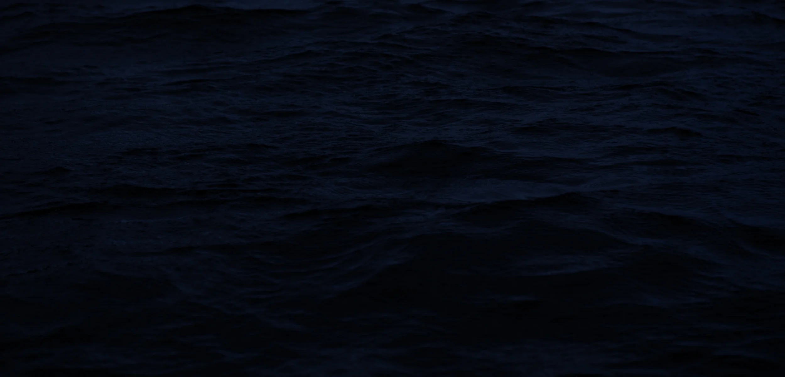 AA_banner_image2.jpg
