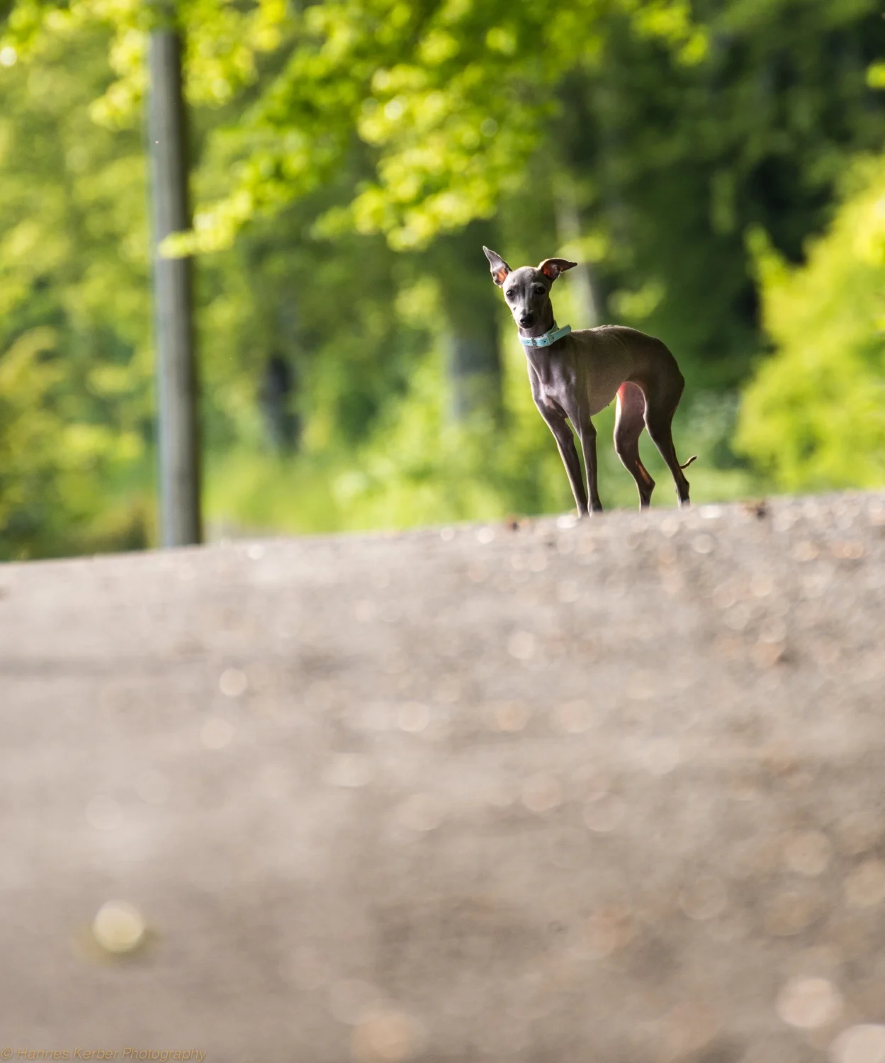 image025.jpg