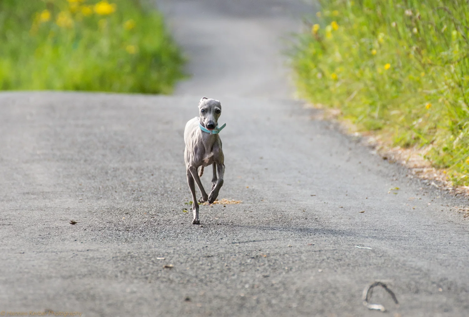 image034.jpg