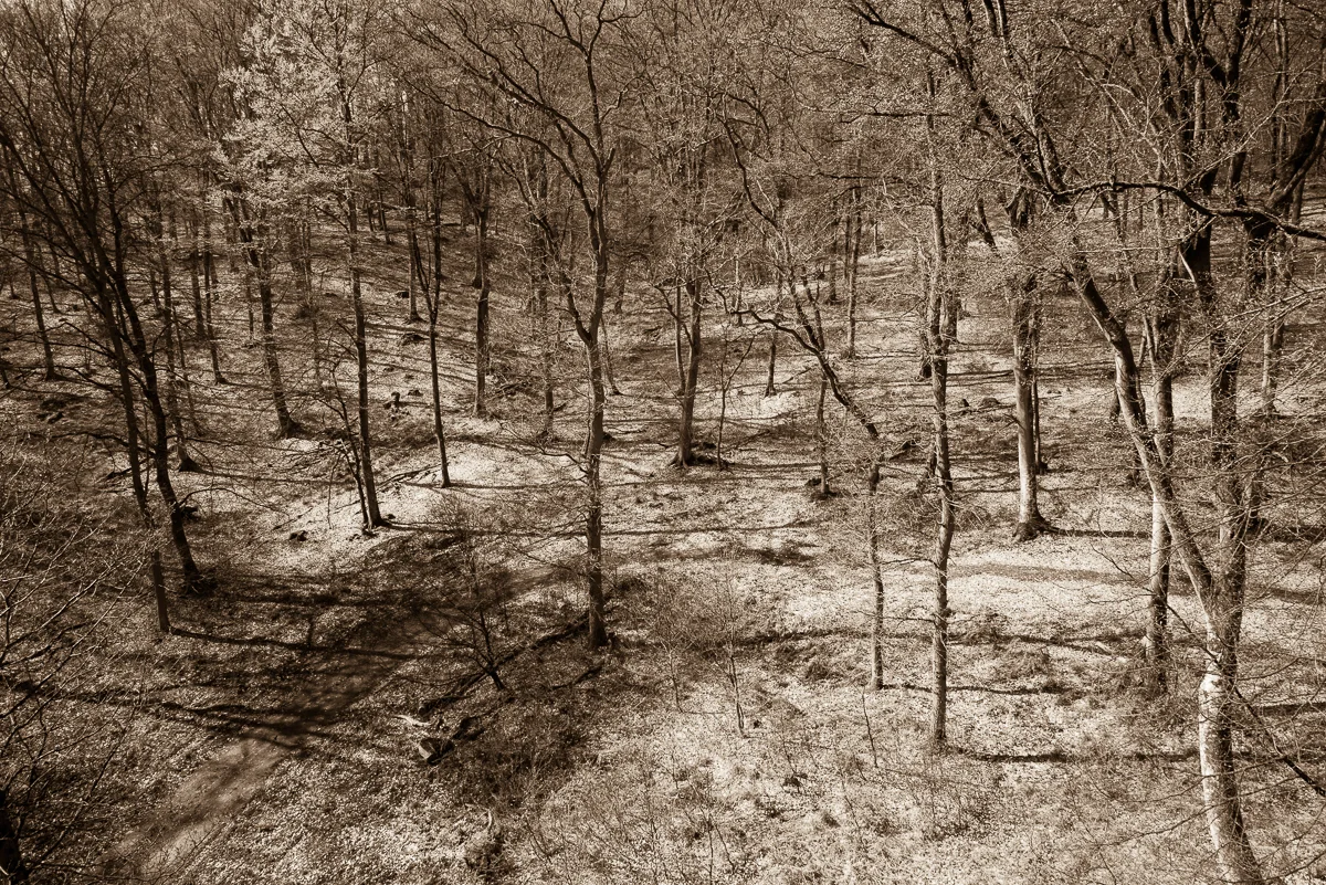 DSC_3230.jpg