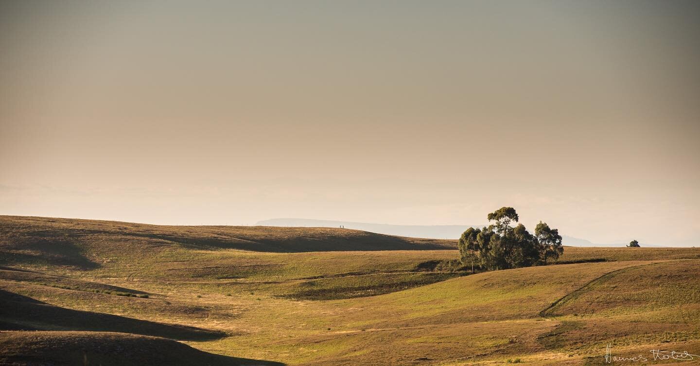 Outside Dullstroom in South Africa #landscapephotography #youpic https://youpic.com/photographer/HannesKerber