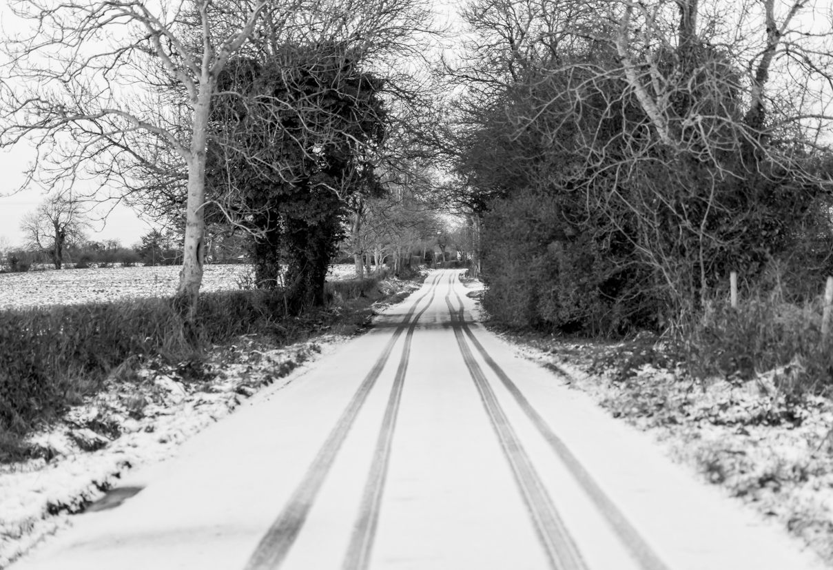 Guess what the leading lines are?