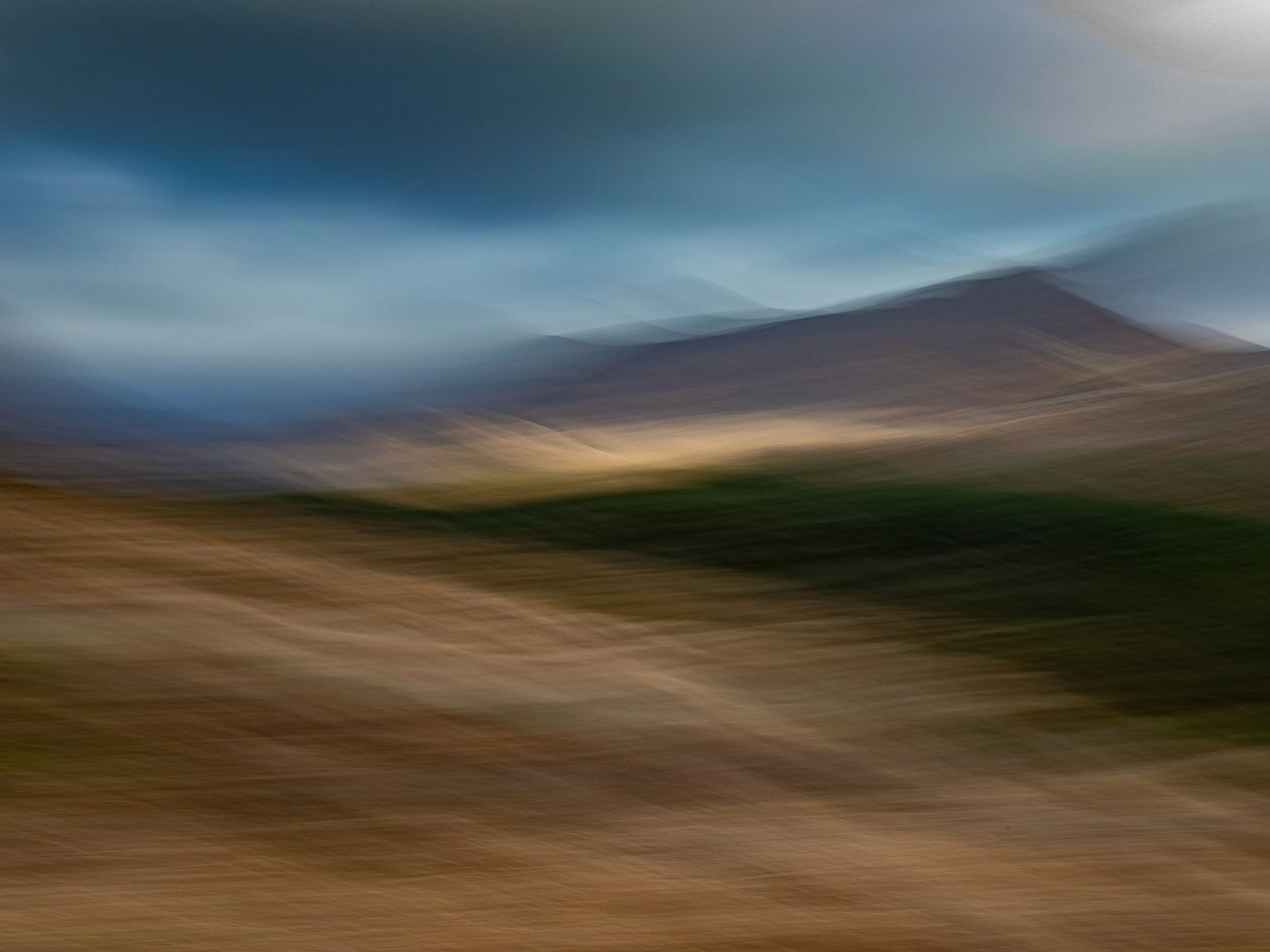 The Clearing (Compress).jpg
