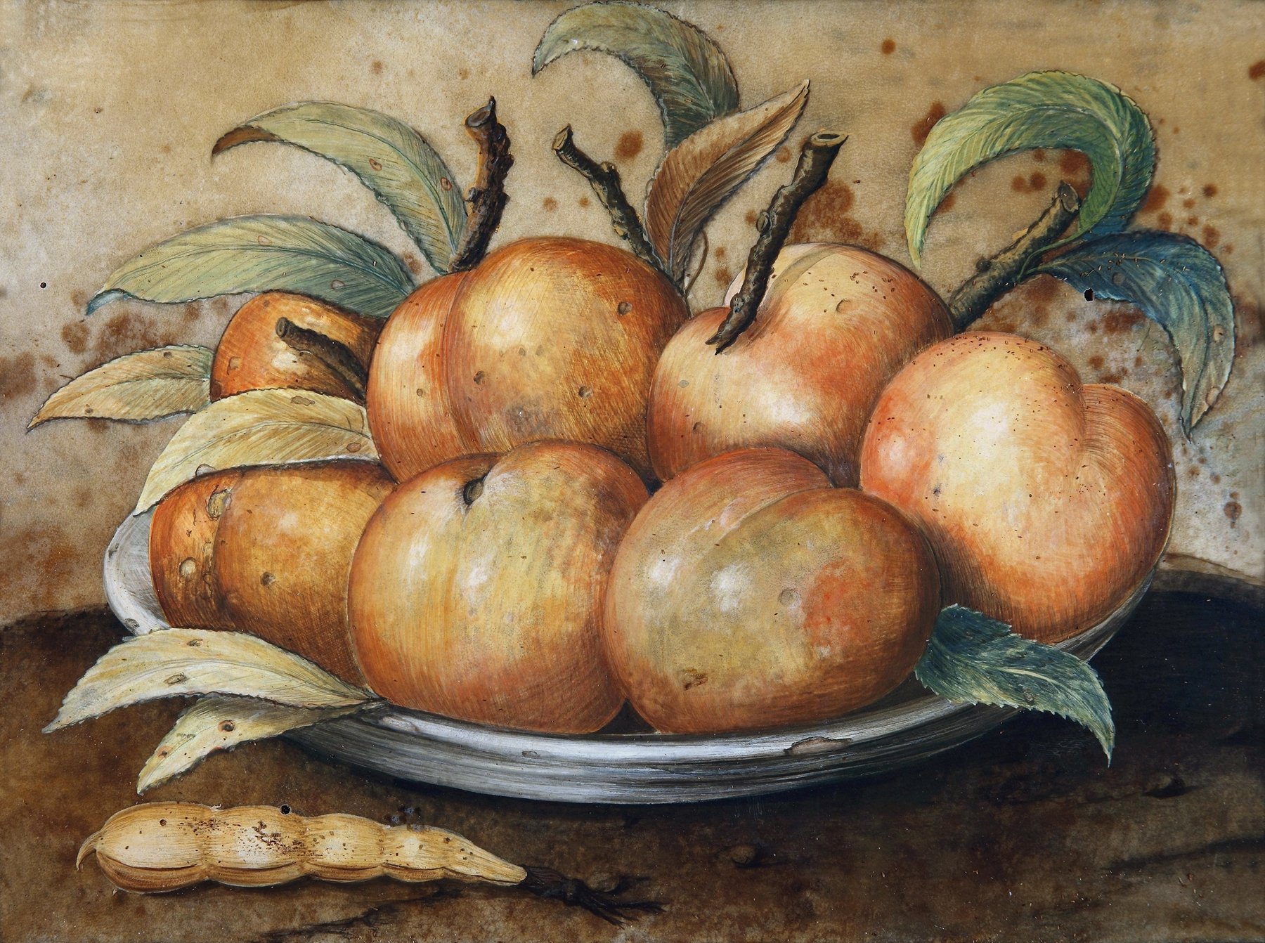 Stillleben Mit Pfirsischen Und Johannisbrot Giovanna Garzoni (Italian, 1600-1670).jpg
