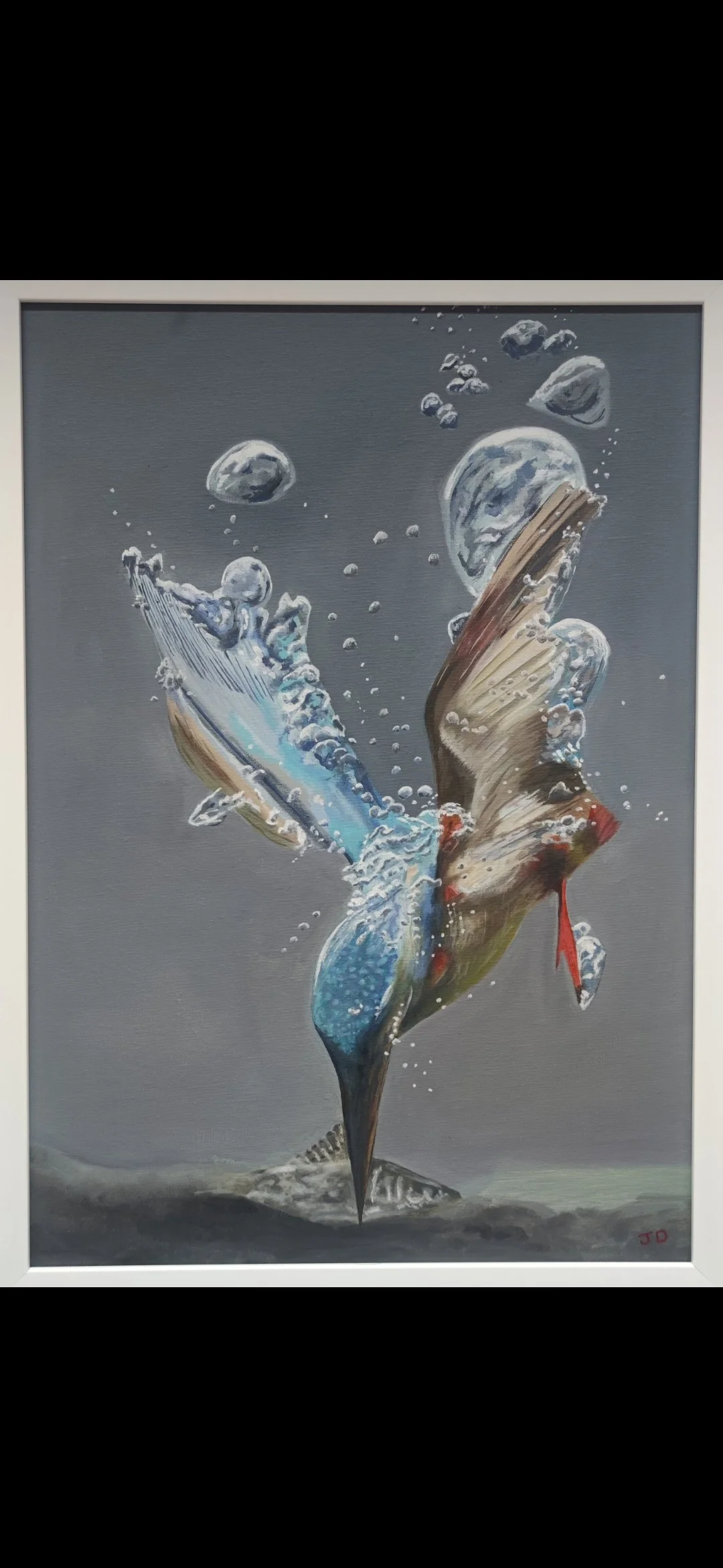 Kingfisher John diamond Oil on canvas board 42x59 cm httpswww.instagram.comdrjohndiamond71igsh=bWQ4OTh2OGd6MGk1.jpg