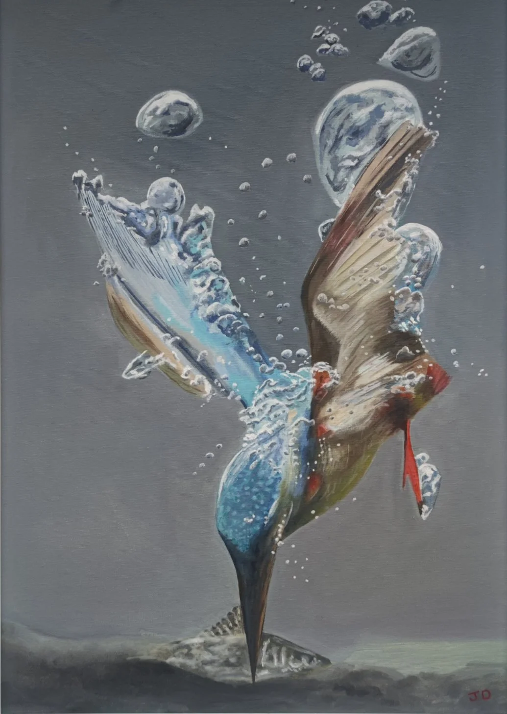Kingfisher John diamond Oil on canvas board 42x59 cm httpswww.instagram.comdrjohndiamond71igsh=bWQ4OTh2OGd6MGk1.jpg