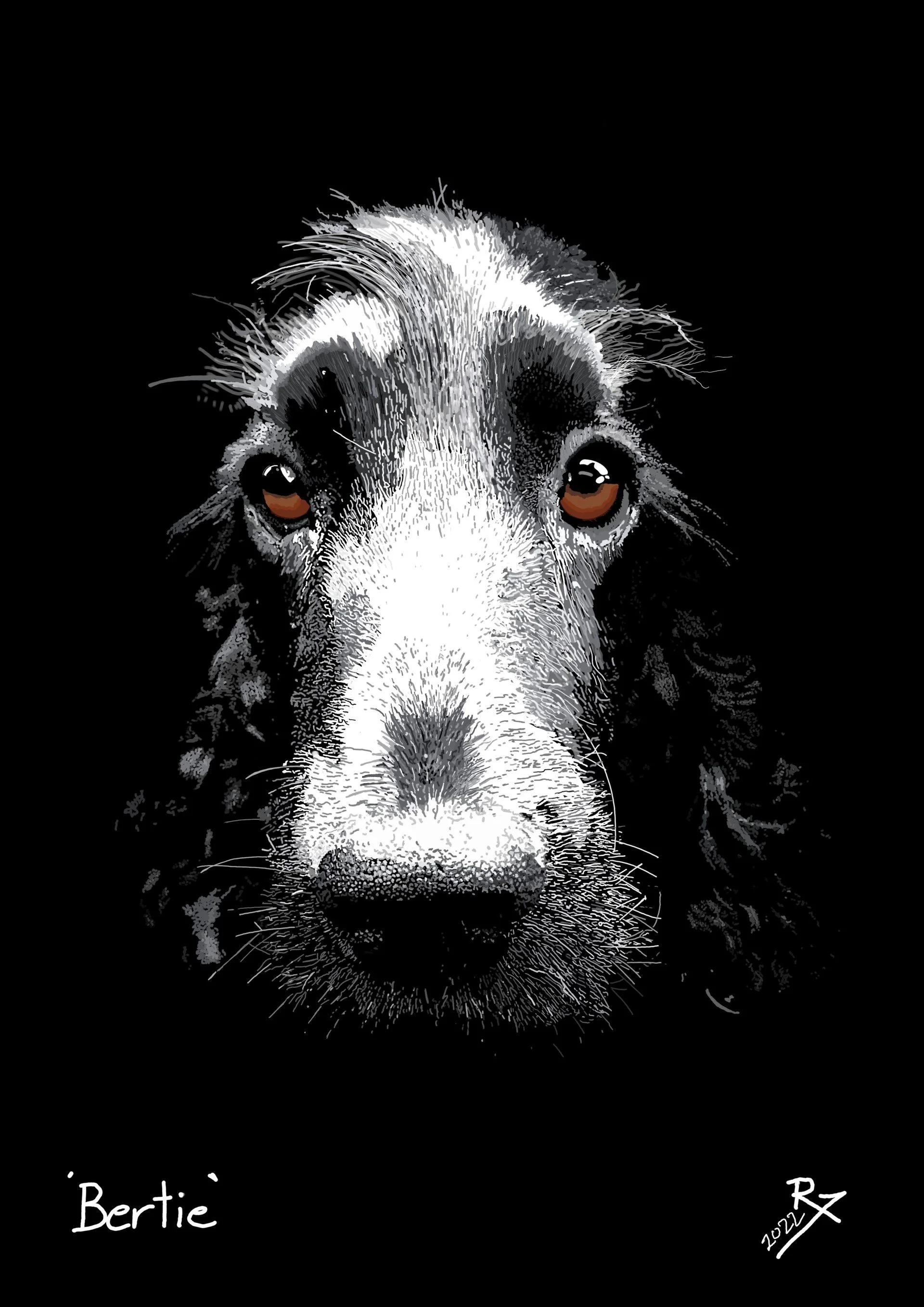 Rodney Farrelly Bertie A3 30x42 .jpg