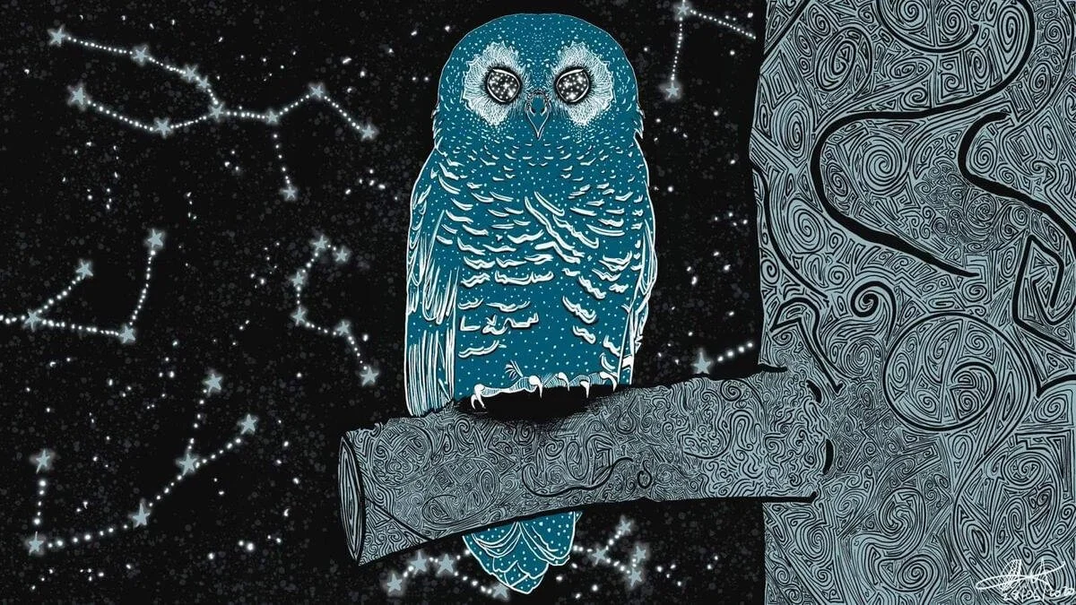 Cosmic Owl.jpg