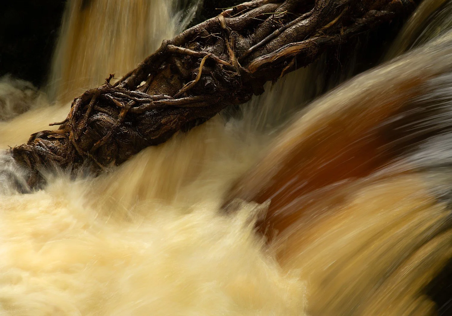 Watching the river flow 2506A8048 20x14 (Large).jpg