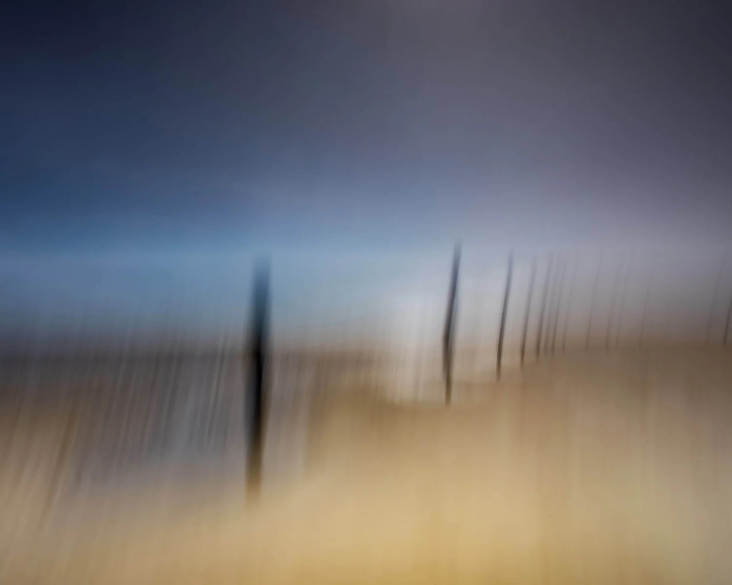 Last Defences 2304A1669 20x16 (Large).jpg