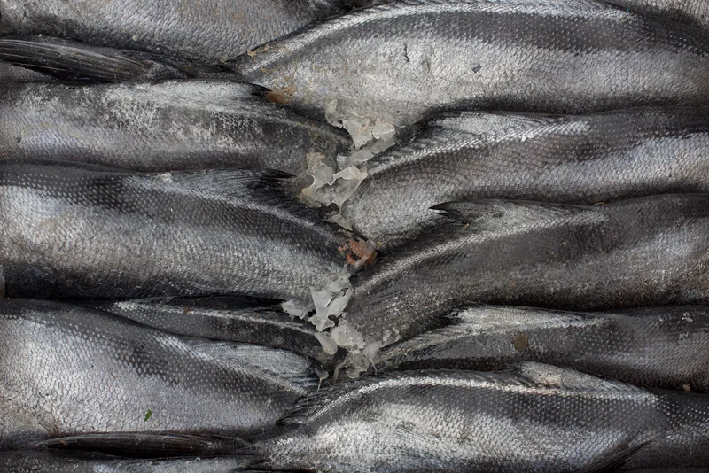 © Matthias Staudinger