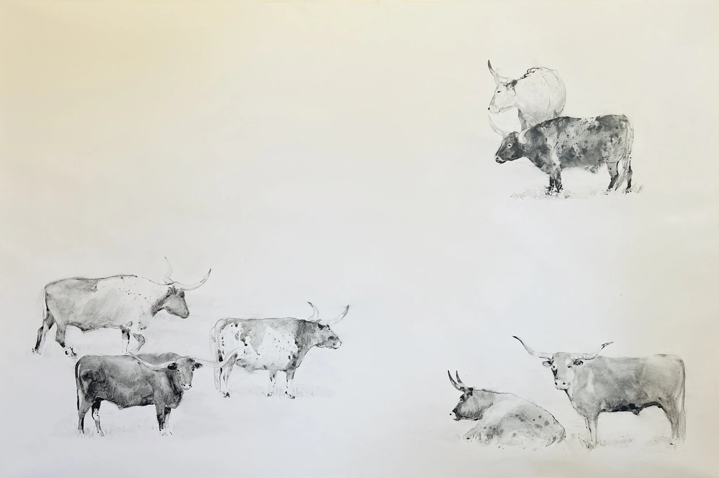 7 Head, graphite on paper,  36.5 x 56.5, 2024 