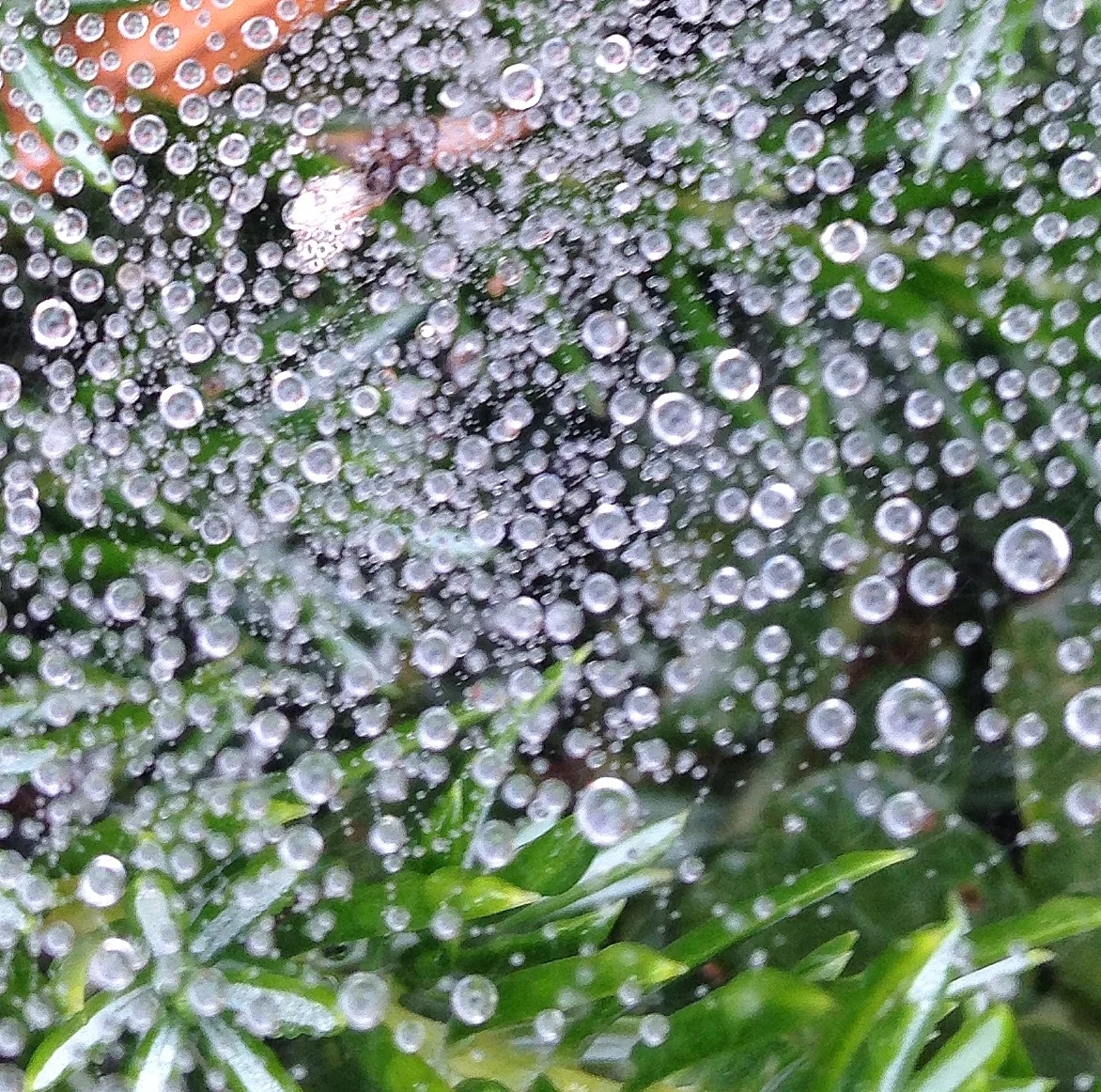 What Happens in Vagus...Beating the Odds Against Stress