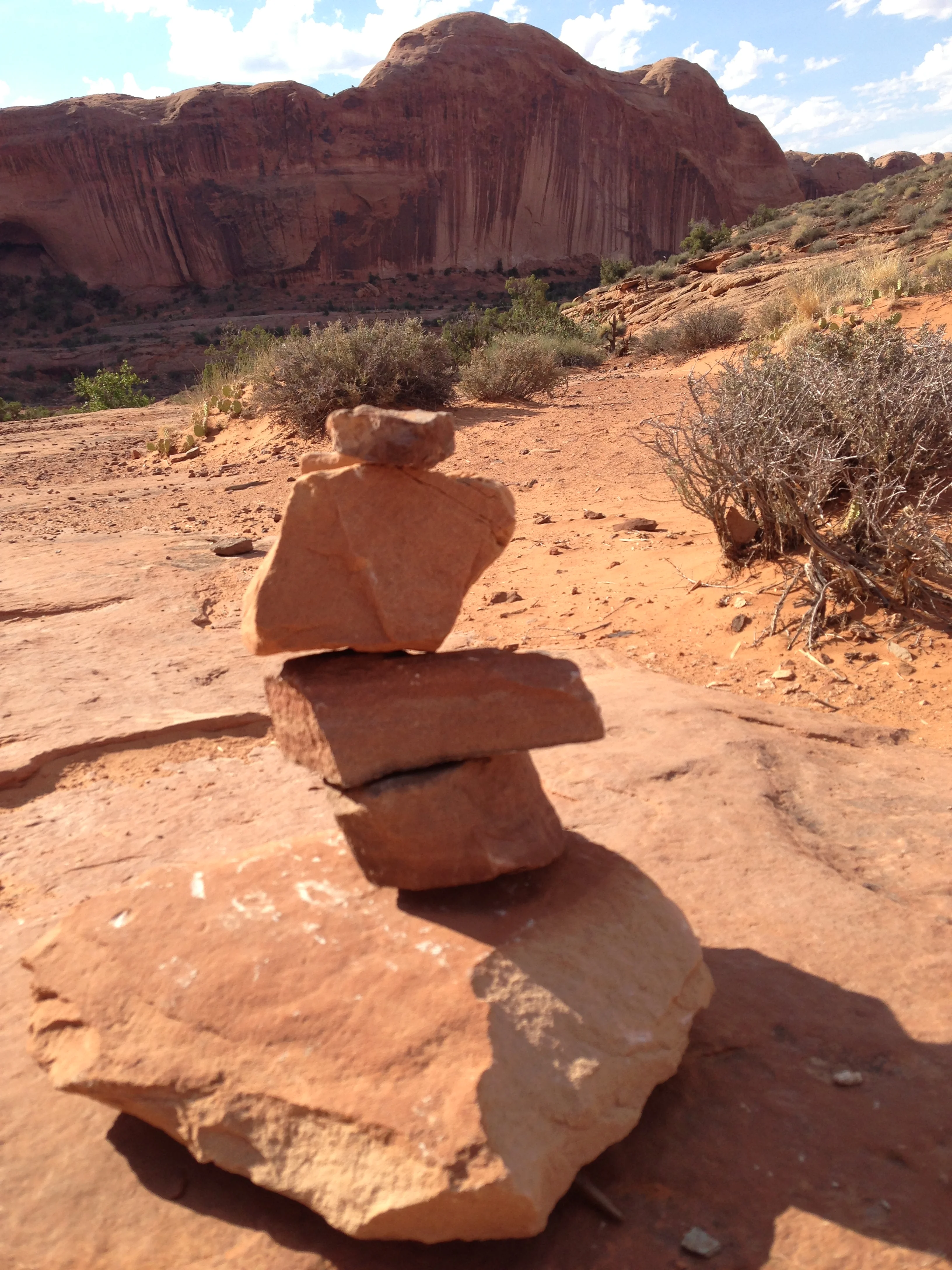 Autumn and The Days of Awe: Reflection, Repentance and Renewal