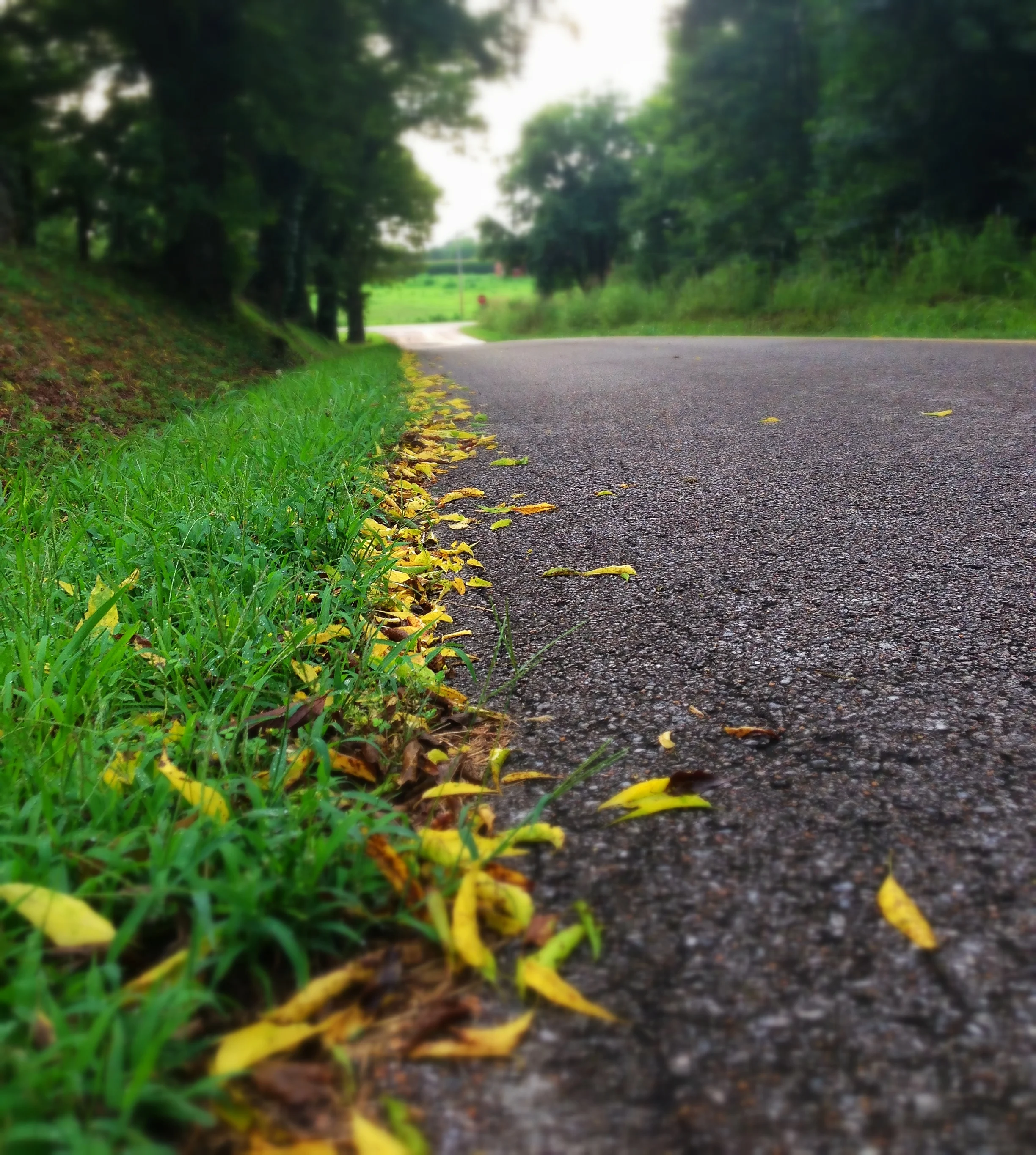 Day Five of the 10 Days of Awe: Spiritual Experiences