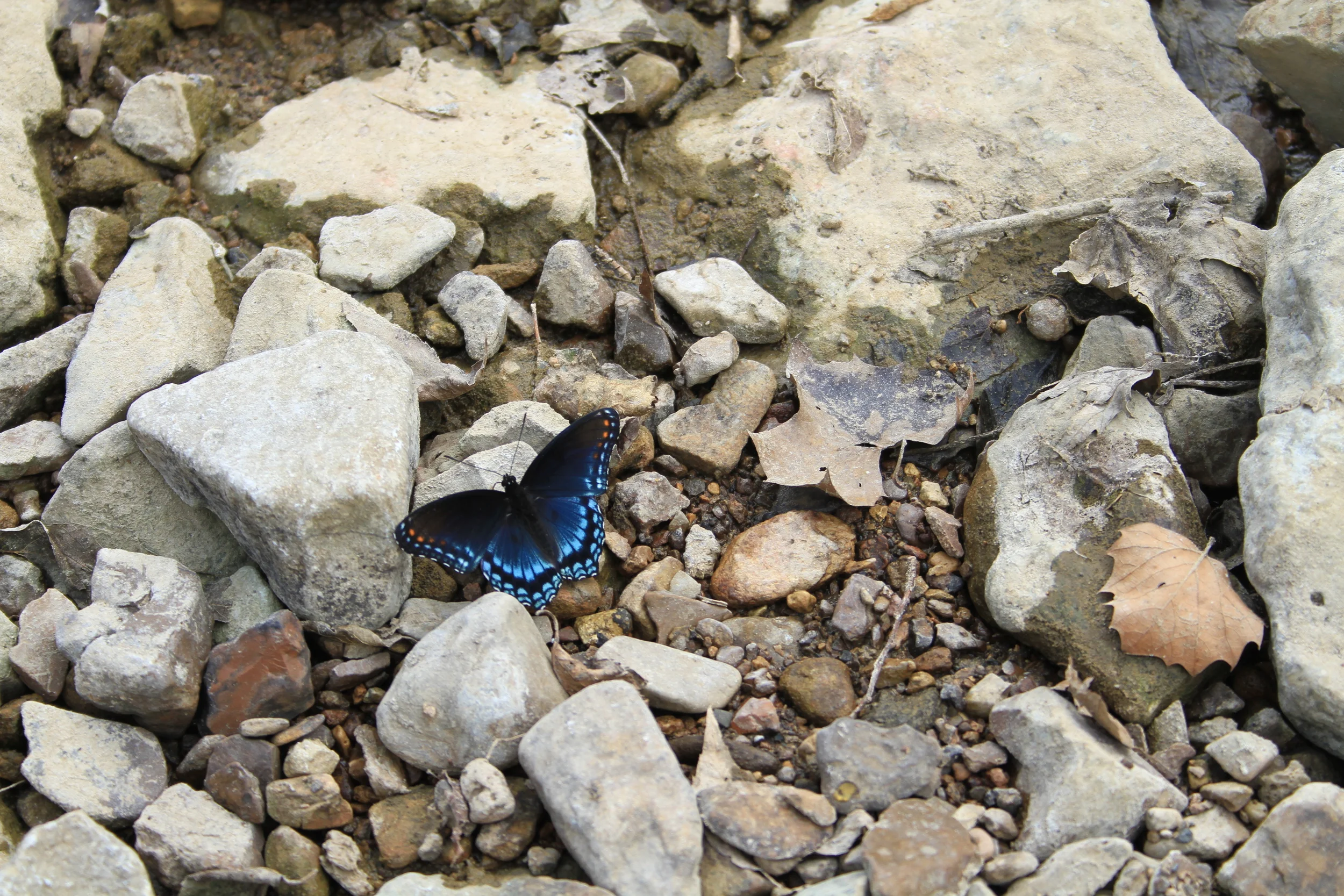 Day Nine of the 10 Days of Awe: Conquering Your Fears