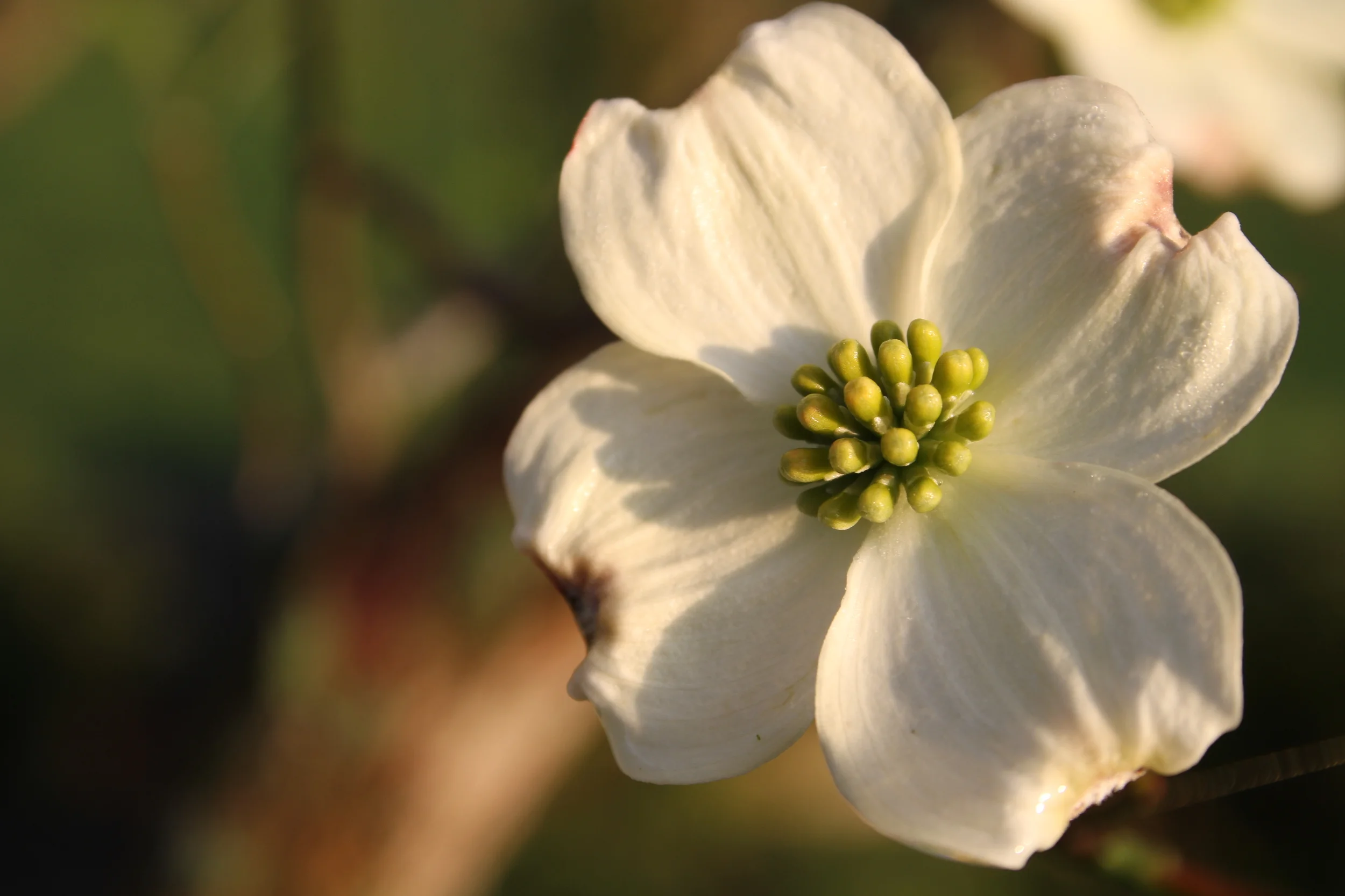 Day Ten of the 10 Days of Awe: Final Thoughts