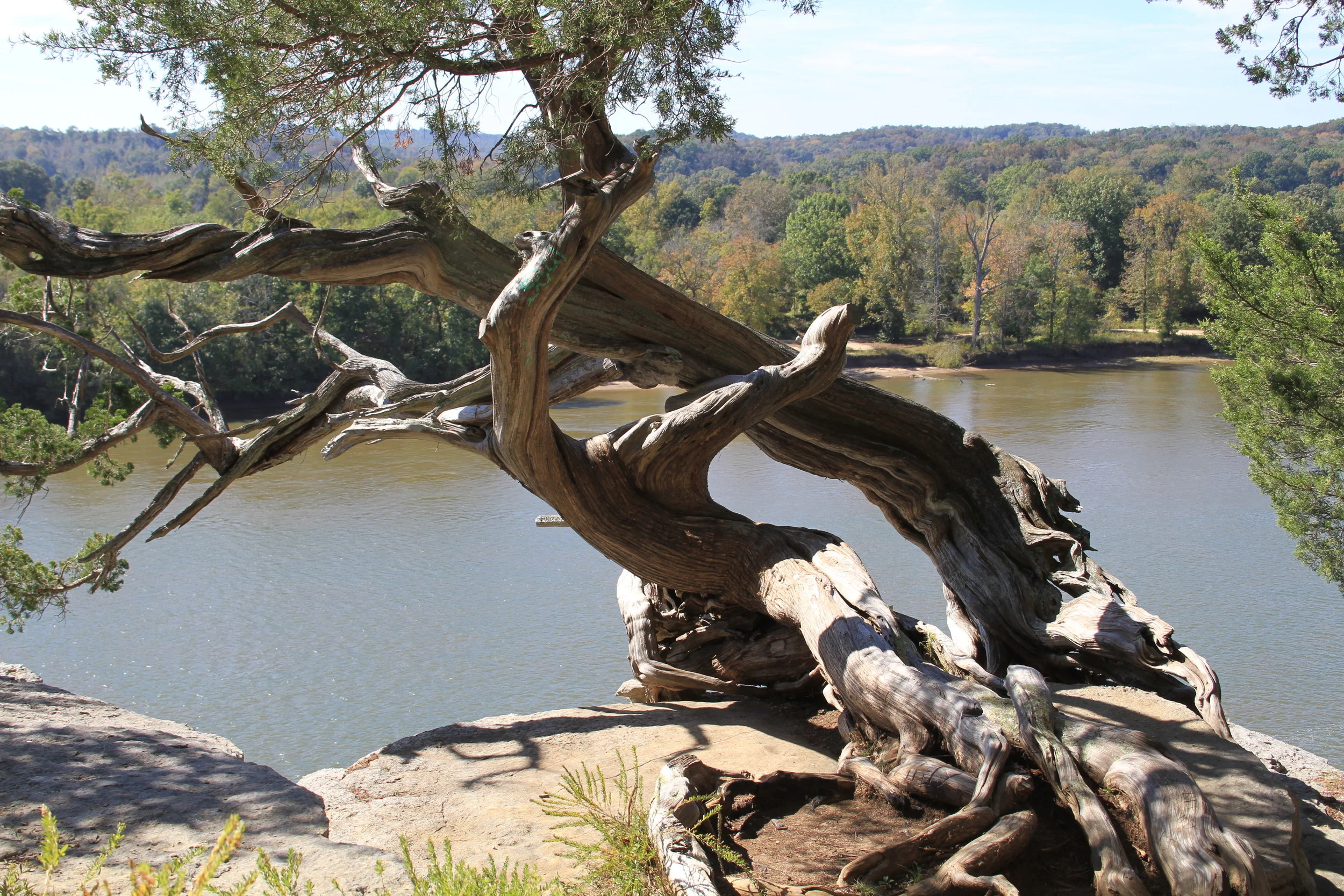 Talking to children about traumatic loss: when front page news gets personal