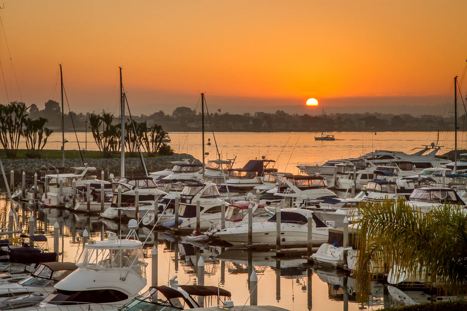San Diego Sunset