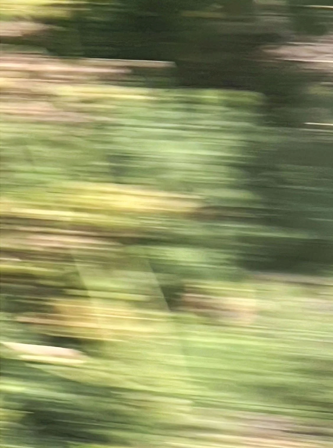 Inverness_Tornagrain. 2