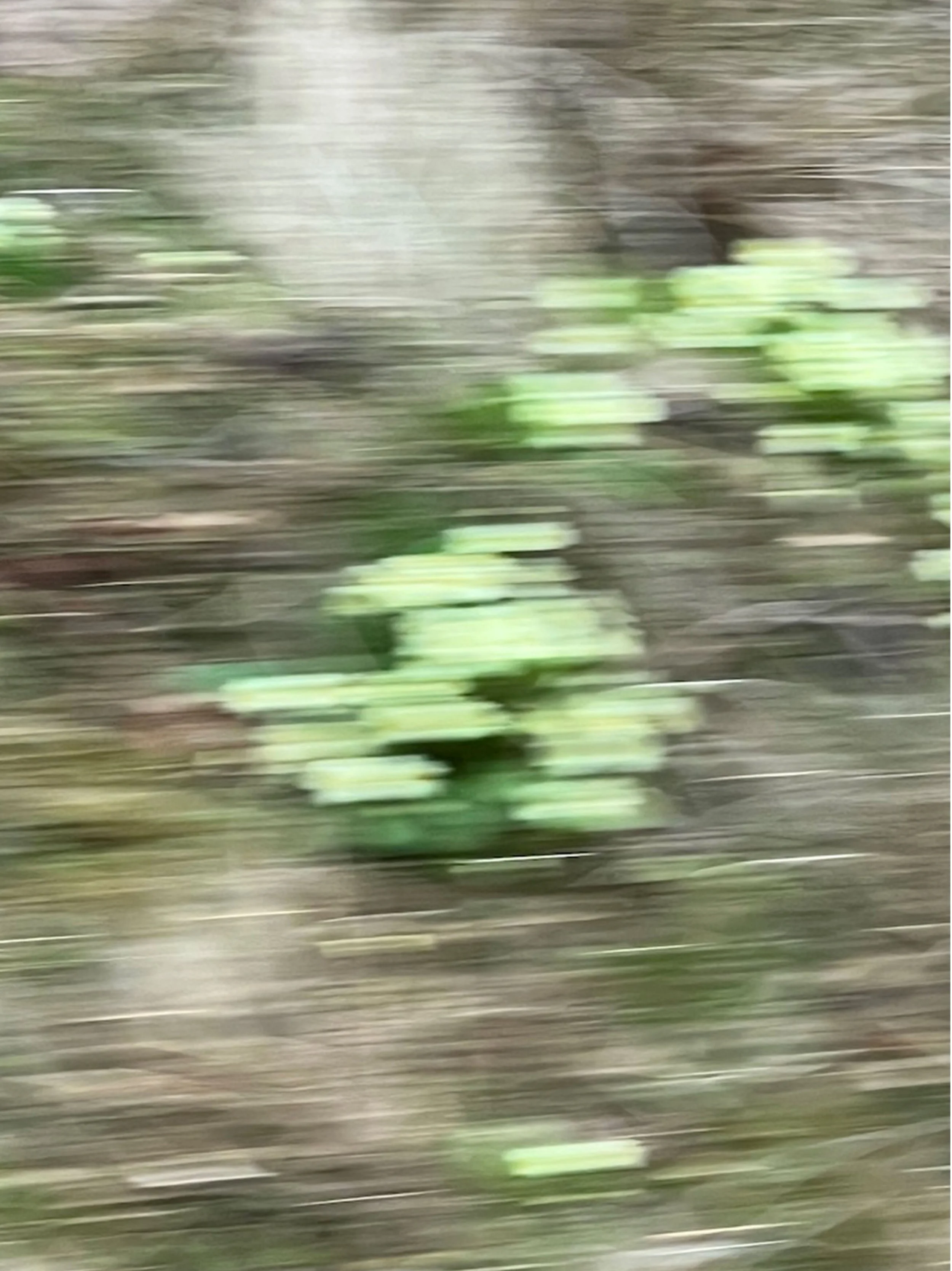 Inverness_Glenmoriston.3