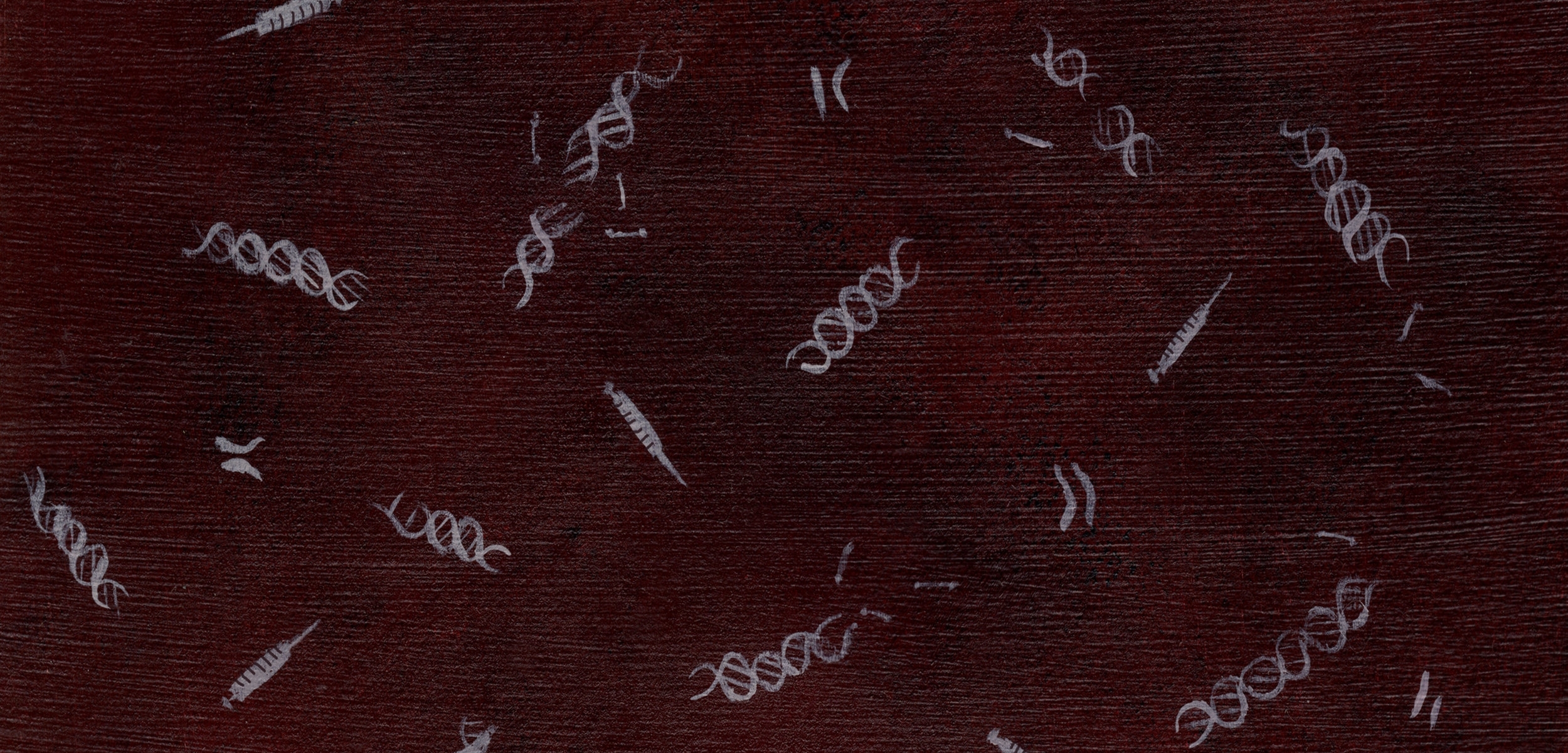 Back cover.jpg