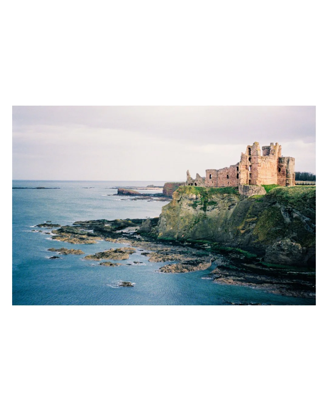 canty (6).jpg