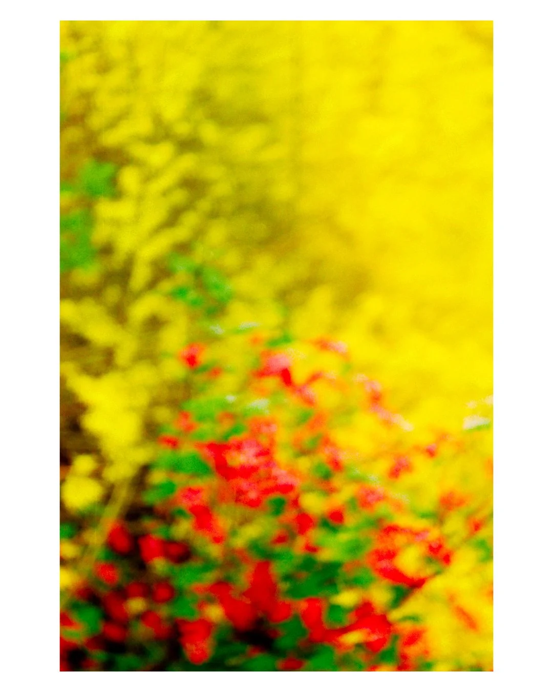 colour (2).jpg