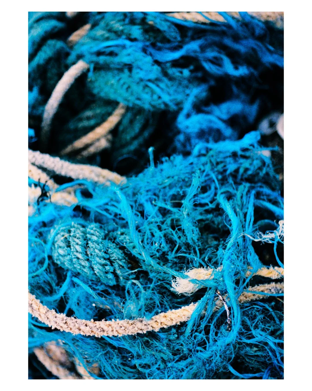 colour (3).jpg