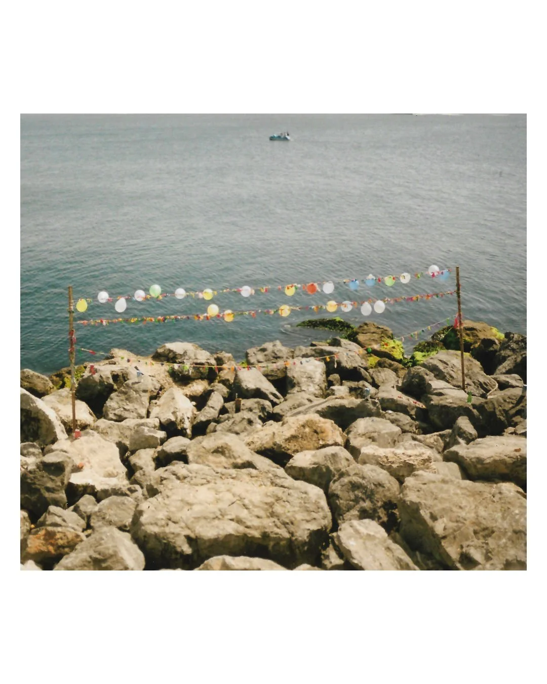 misc (3).jpg