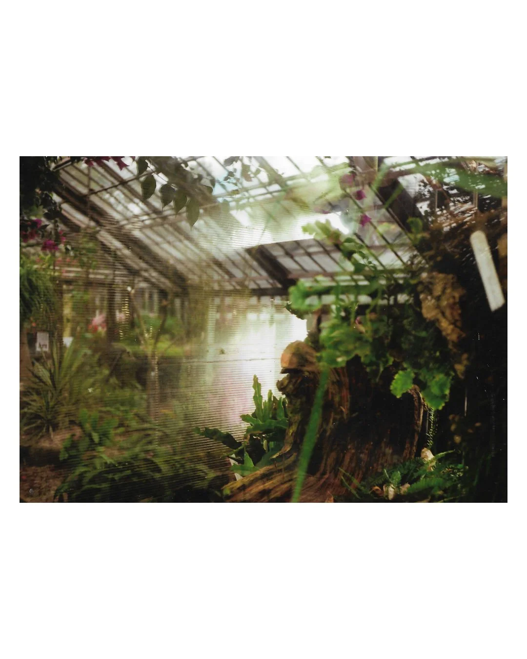 misc (4).jpg