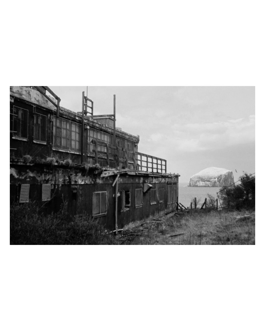 x canty (7)_1.jpg