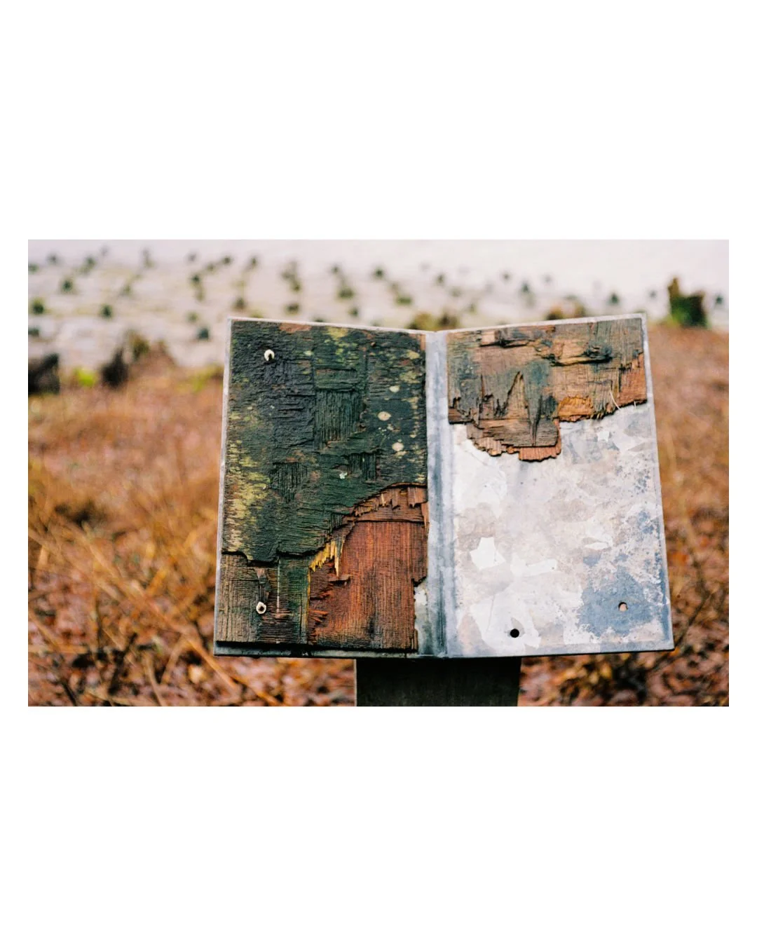 insta2_20.jpg