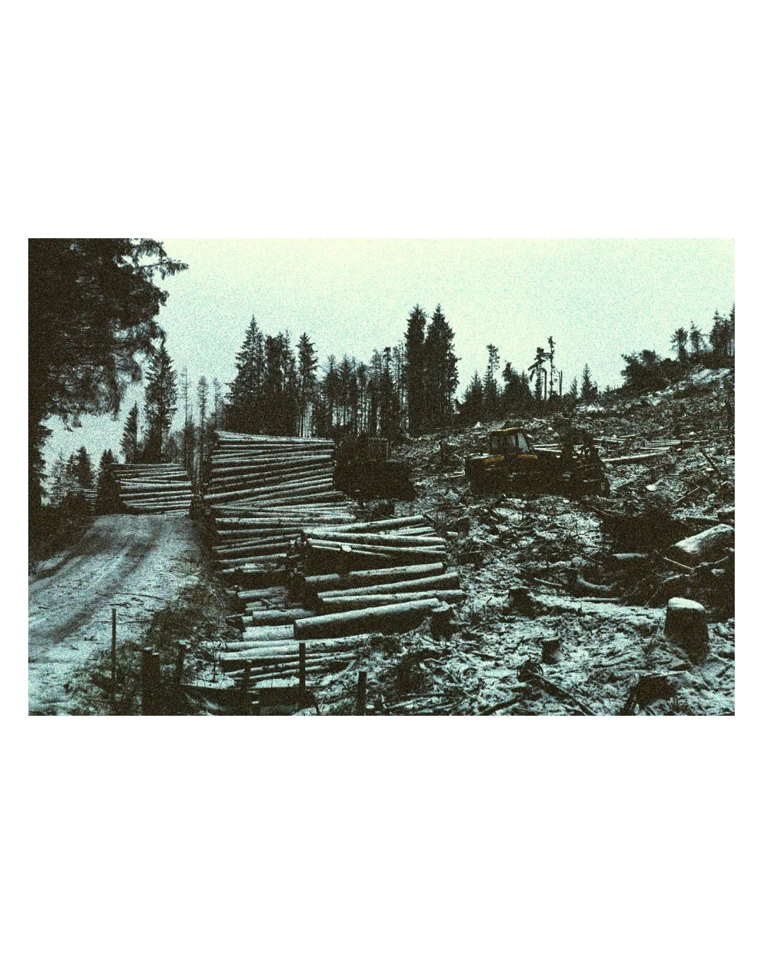 insta2_72.jpg