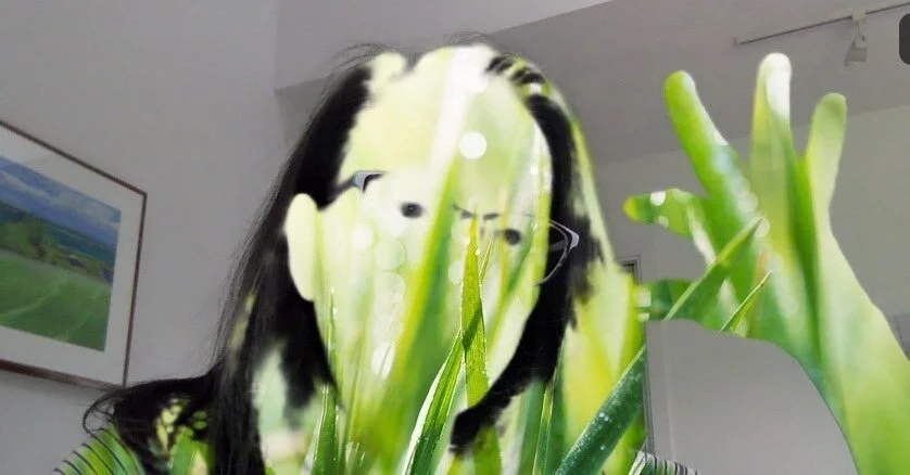 Martha s Vineyard Landscape Painting Workshop 2024