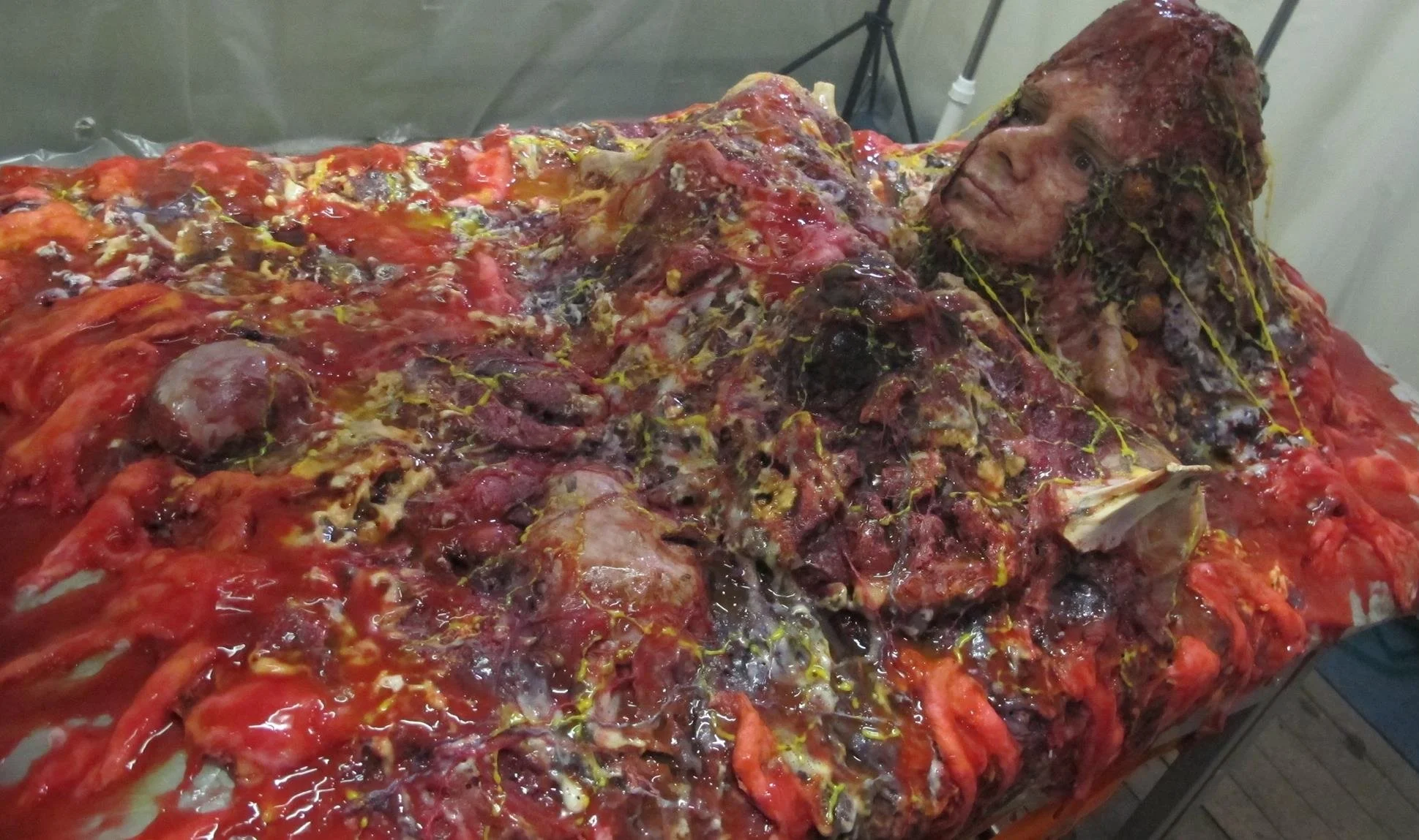 Mutated victim for short film 'Lab Rats'