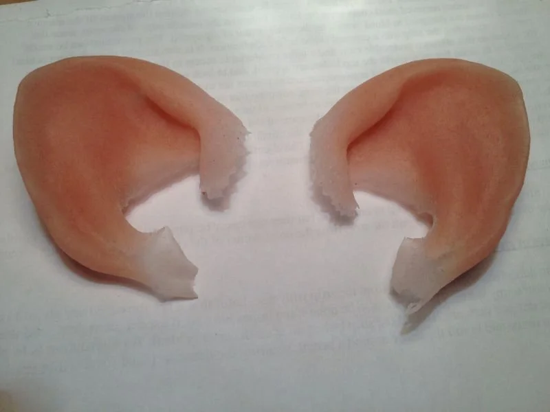 Silicone rat ear prosthetics for 'Rodentia'