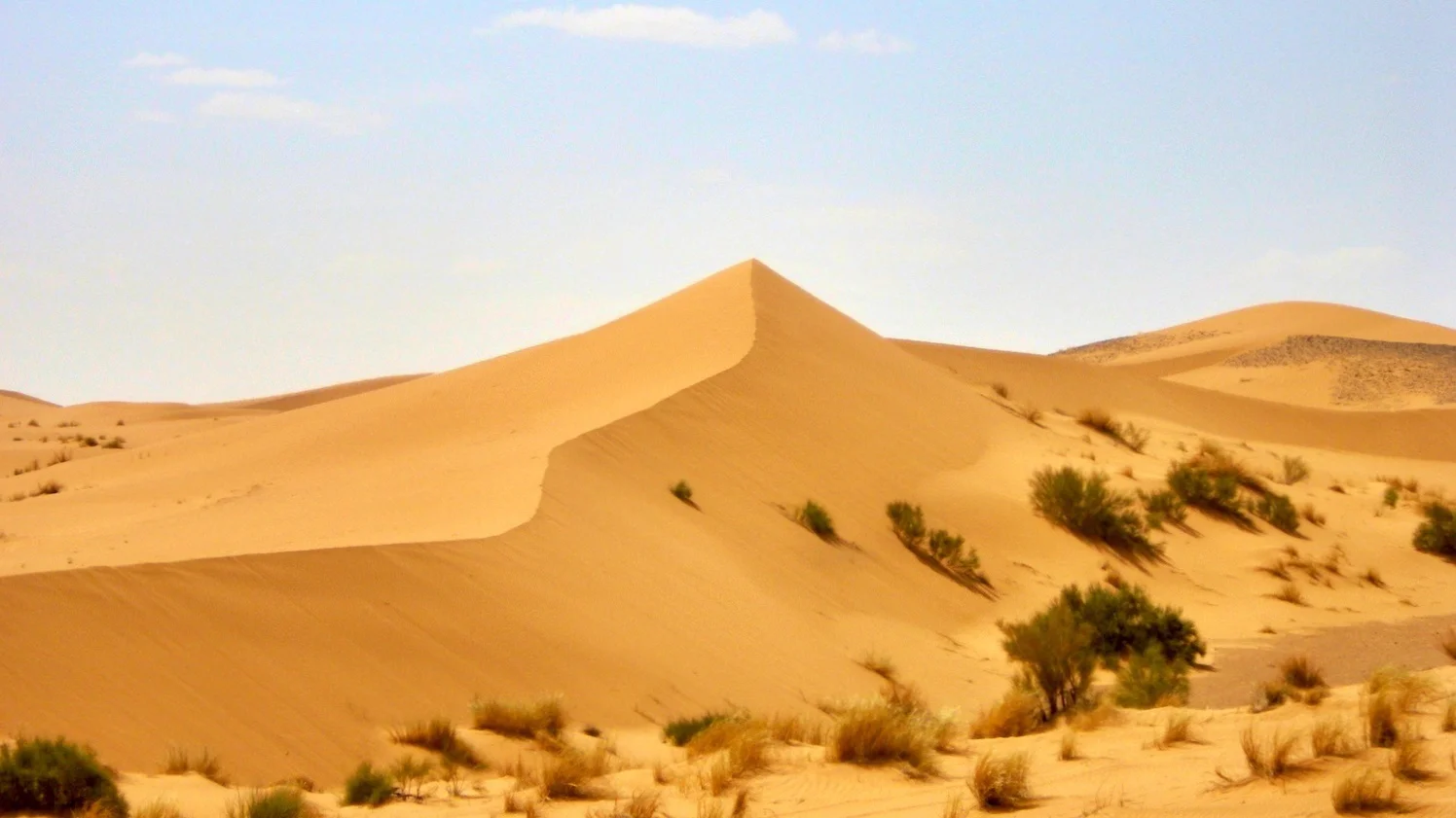 Gemeinsam mehr bewegen: 250 Kilometer durch die Sahara für die Schulbildung von 428 benachteiligten Kindern in Nepal