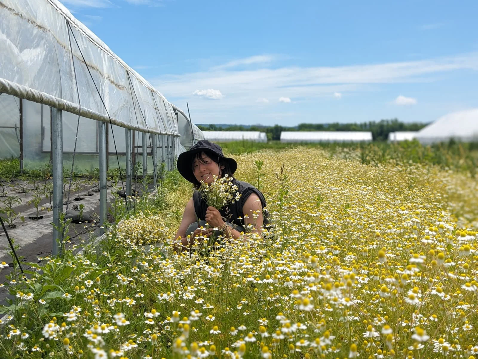 Grace in hat in chamomile.JPG