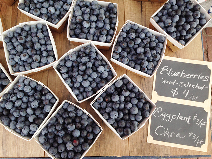 Blueberries. Eggplant. Okra. (Taken with my trusty little iPhone.)
