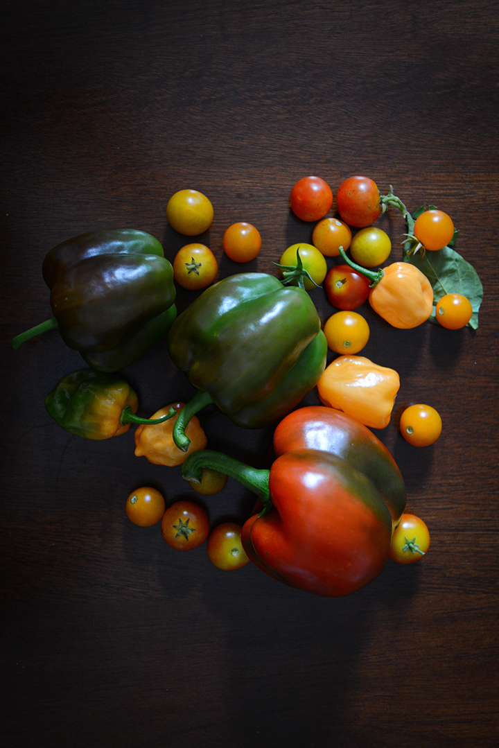 The end of my summer bounty.