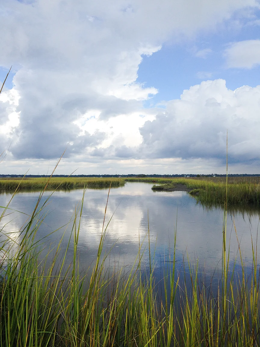 And the colors against the tidal trails are always spectacular.