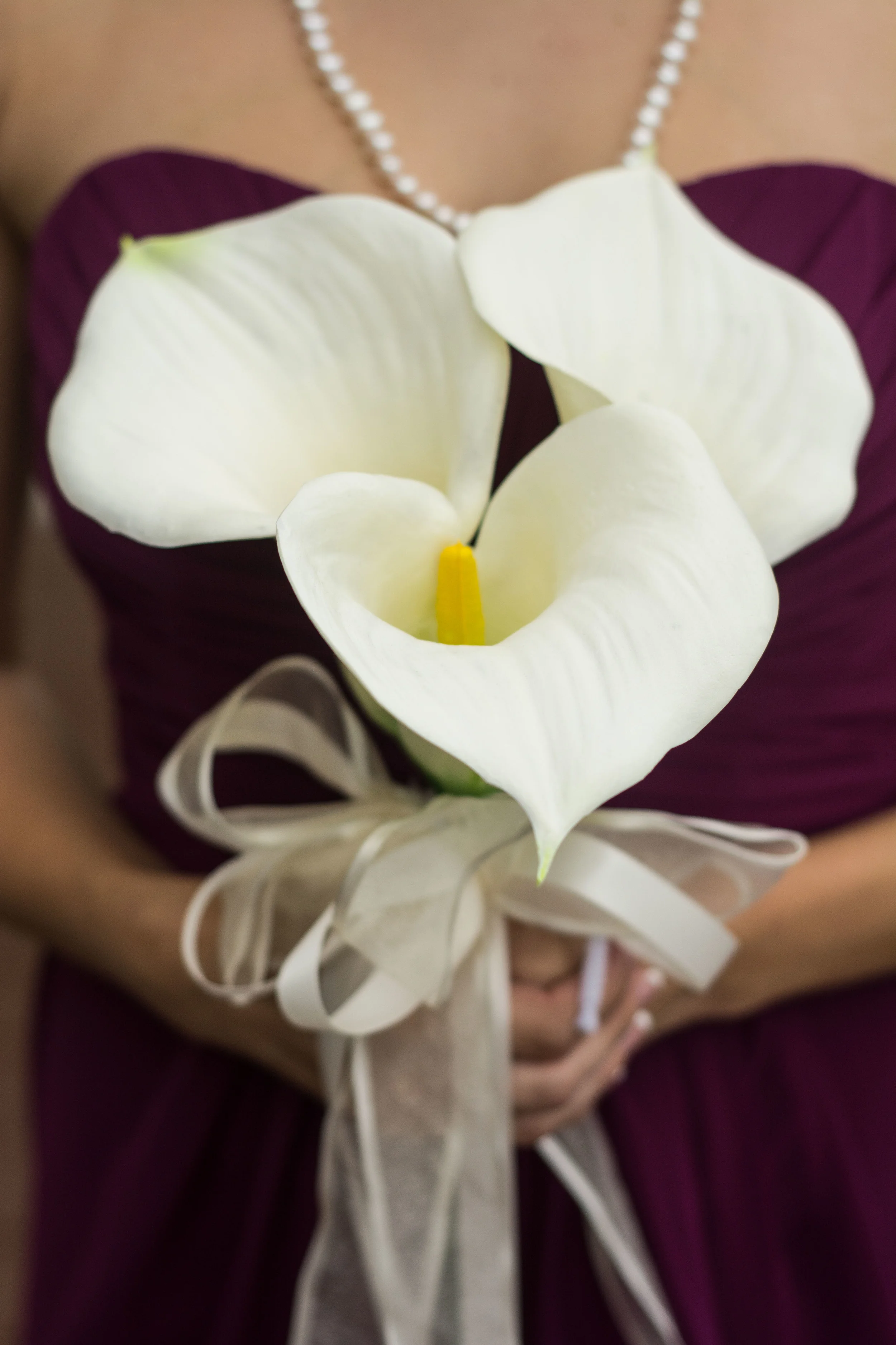 20150912-12350.jpg