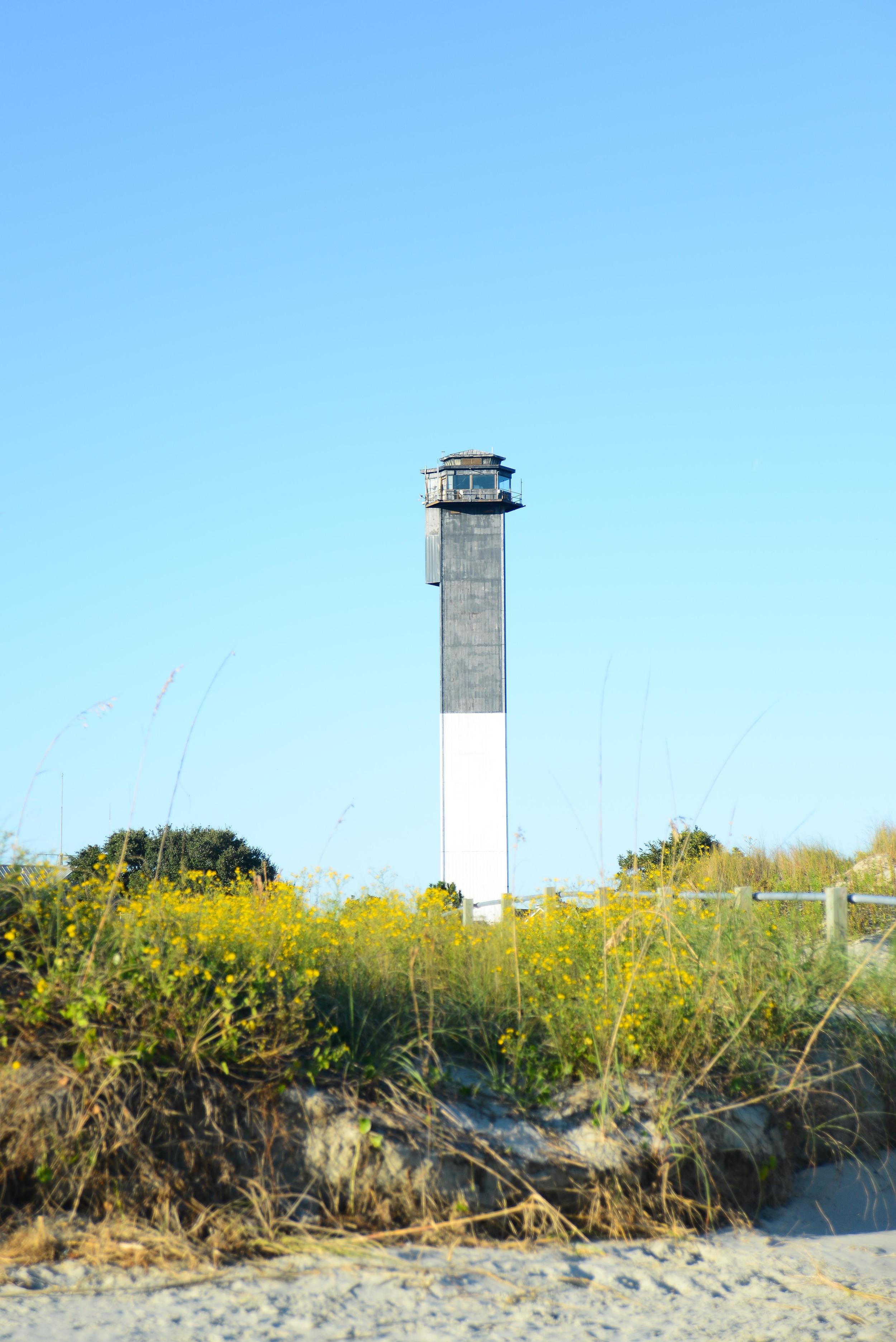 LWP_3445.jpg