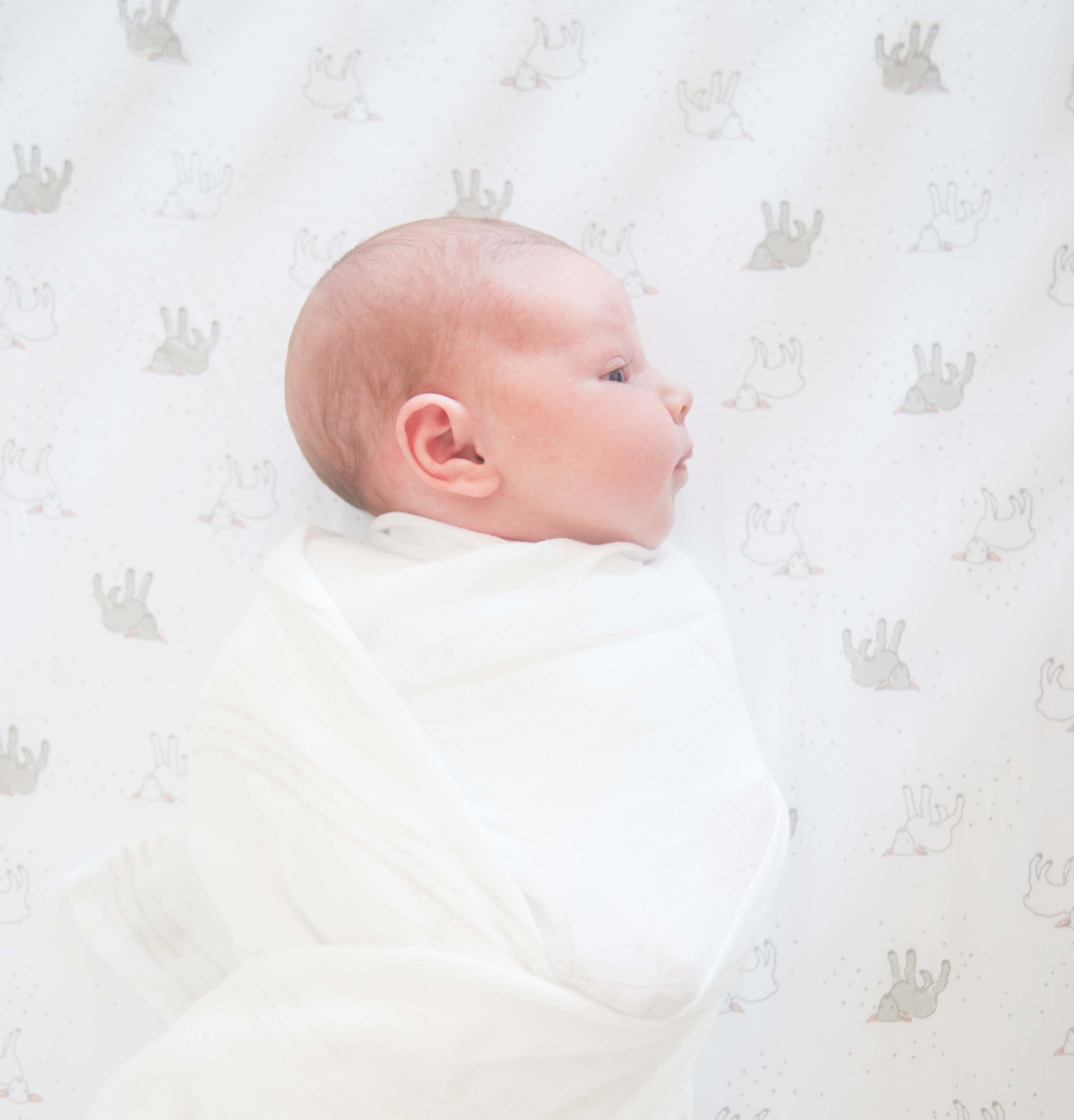 Baby C-111.jpg