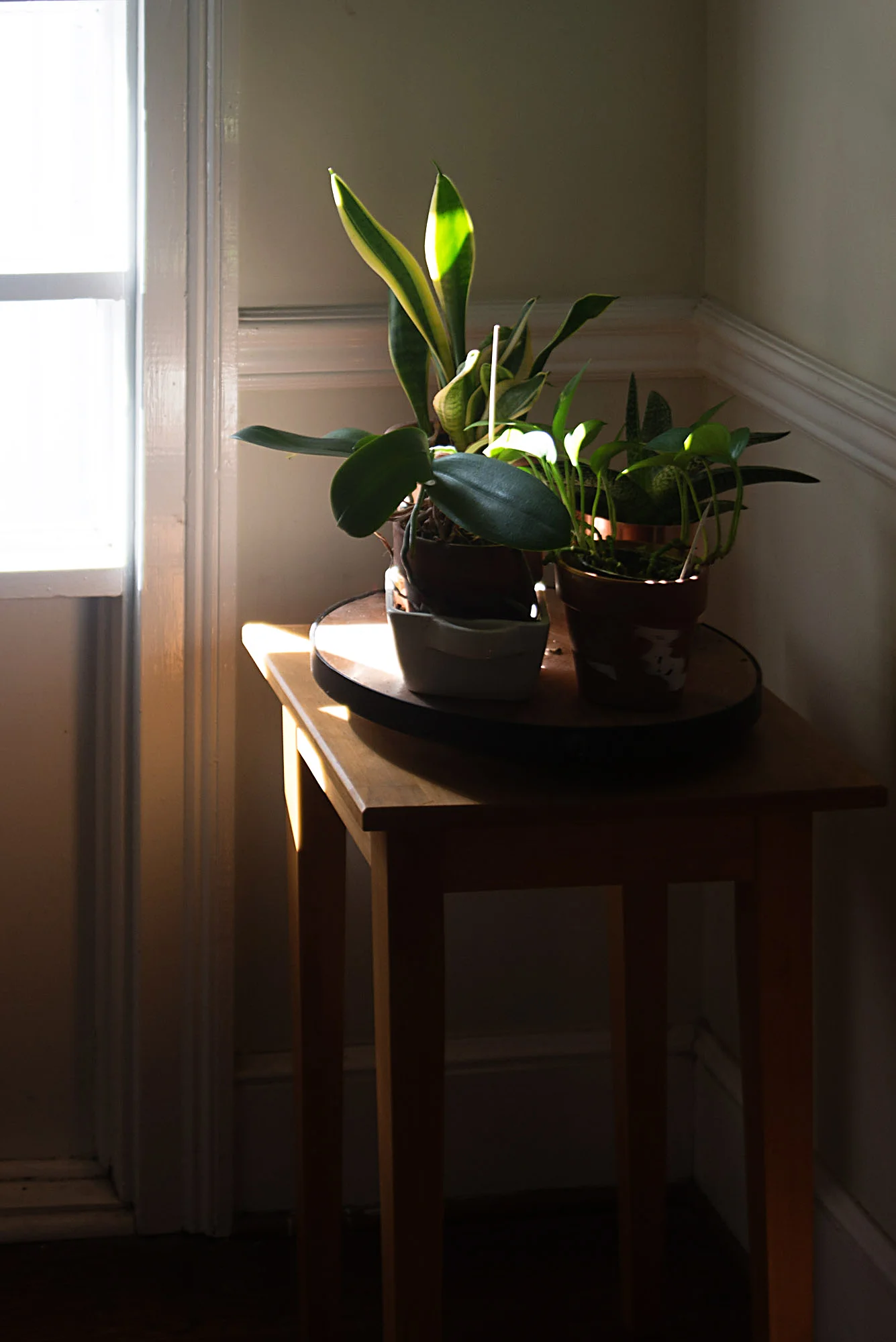 This was a test shot as I was walking out the door a few days ago. I almost threw it away. But look at the magic it created.