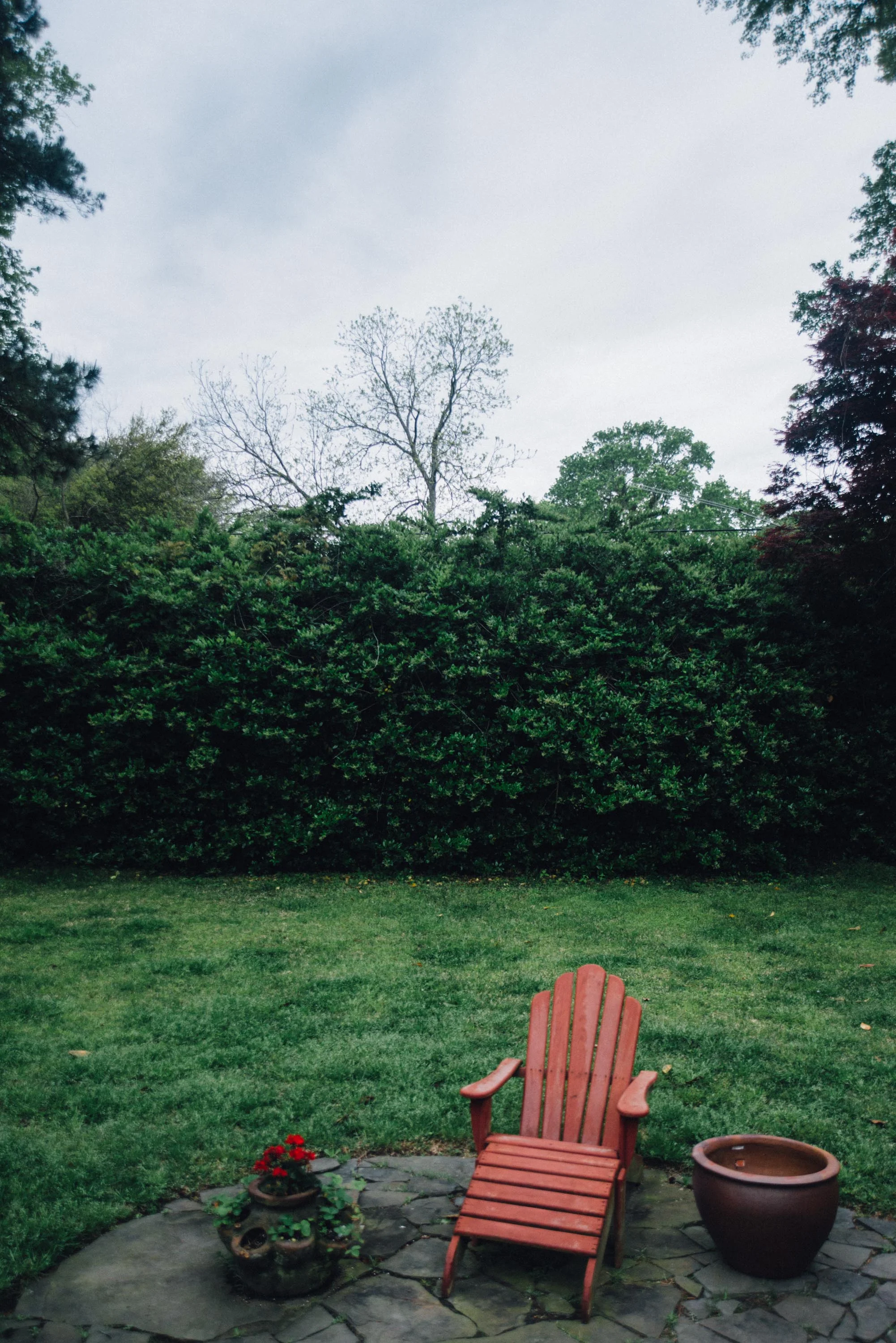 My sweet little garden, on a particularly gloomy spring day in Charleston.