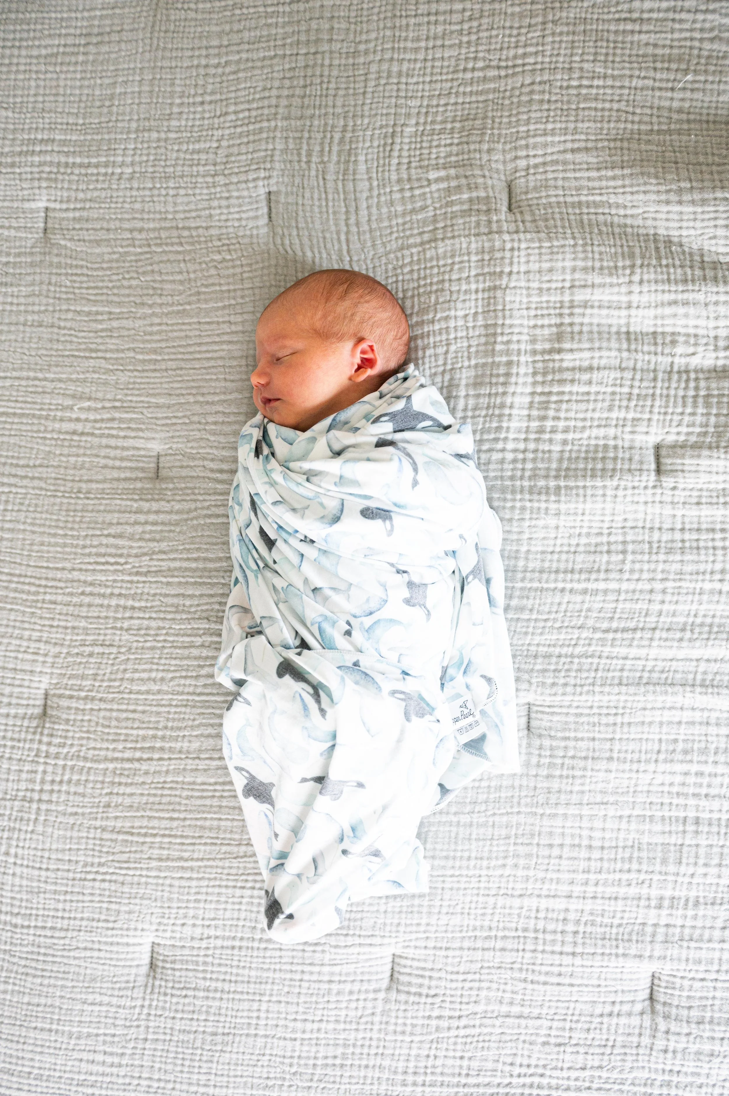 Kaczmars finals-85.jpg